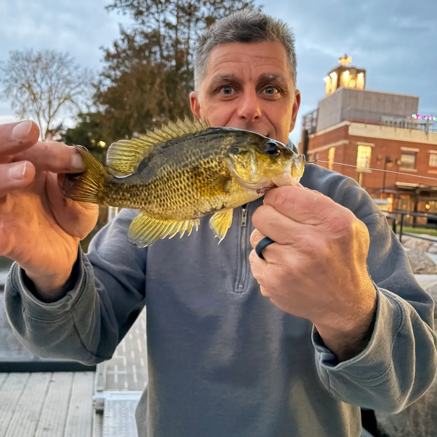 Rock bass caught on Fishbrain