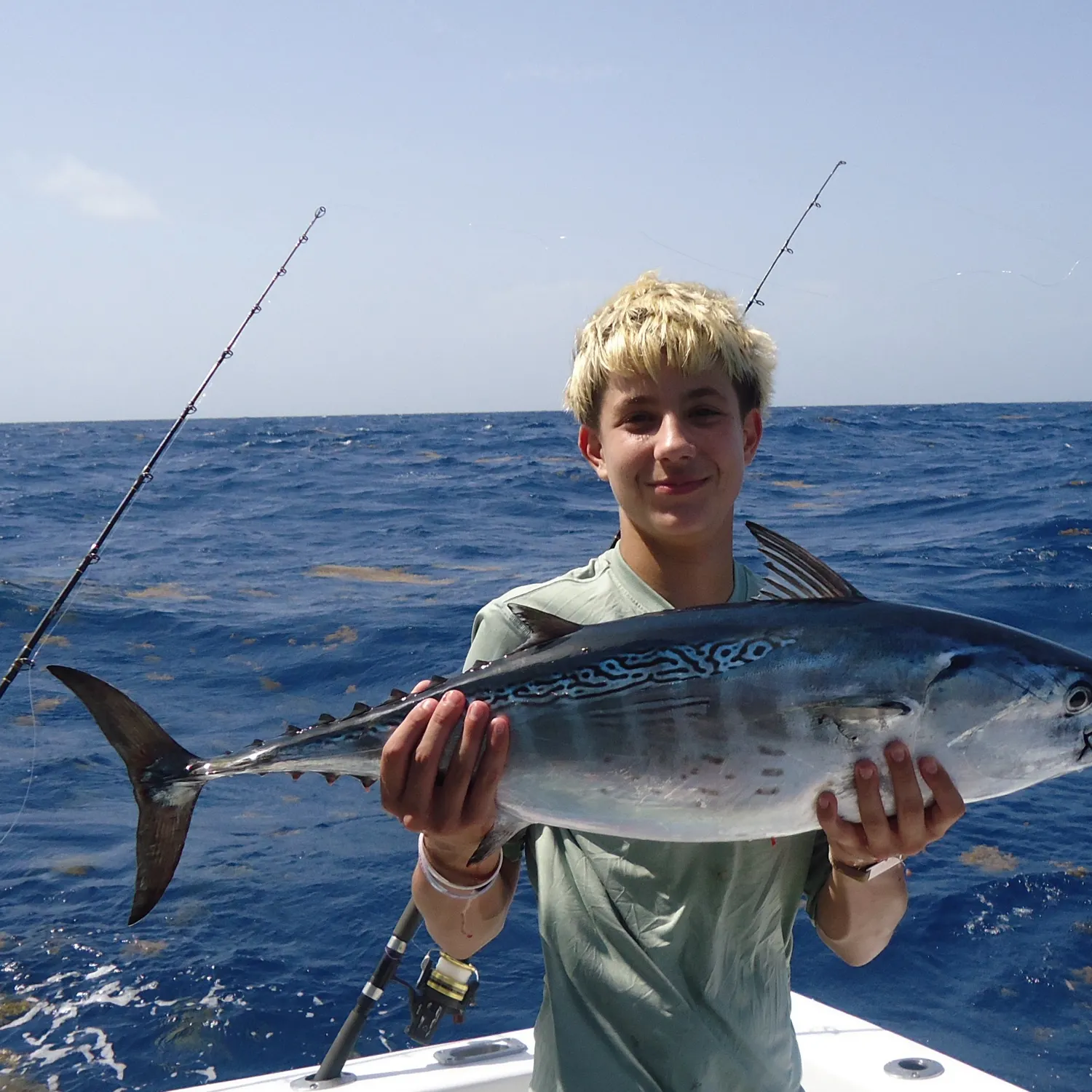 The most recent Atlantic bonito catches on Fishbrain