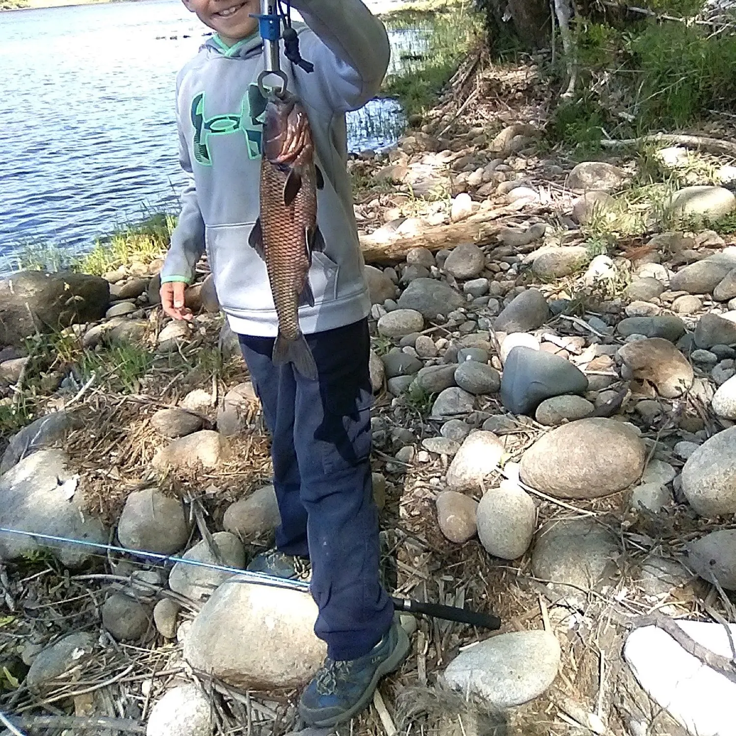 The most recent River chub catches on Fishbrain