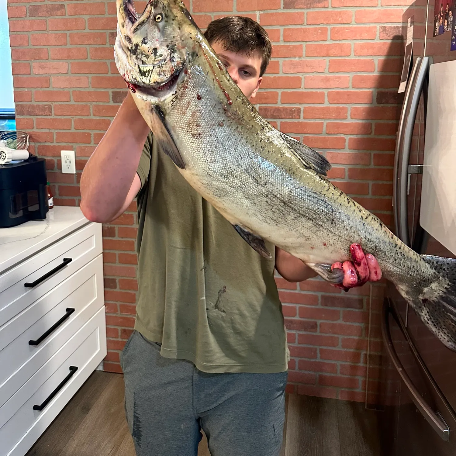 Chinook salmon caught on Fishbrain