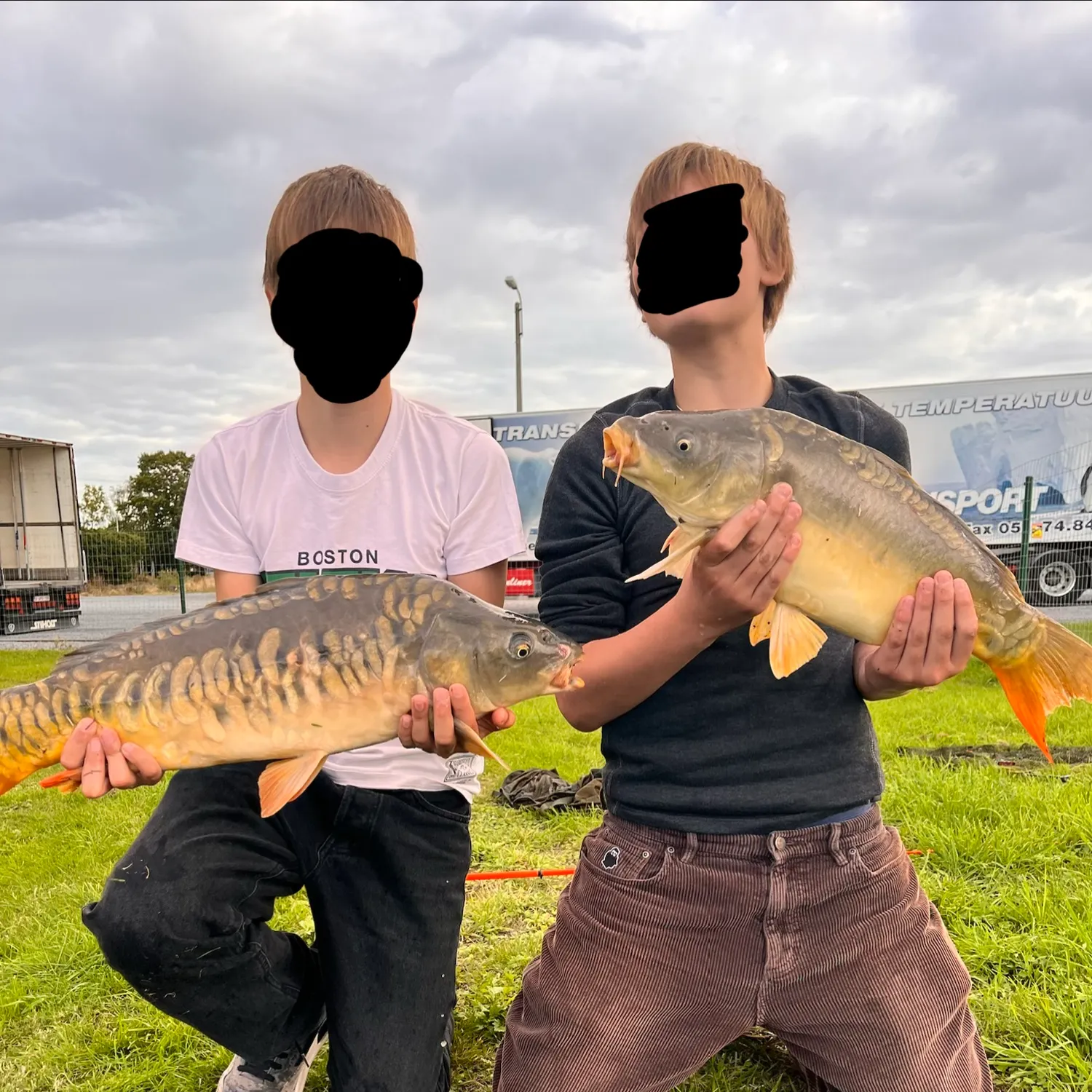 Mirror carp caught on Fishbrain