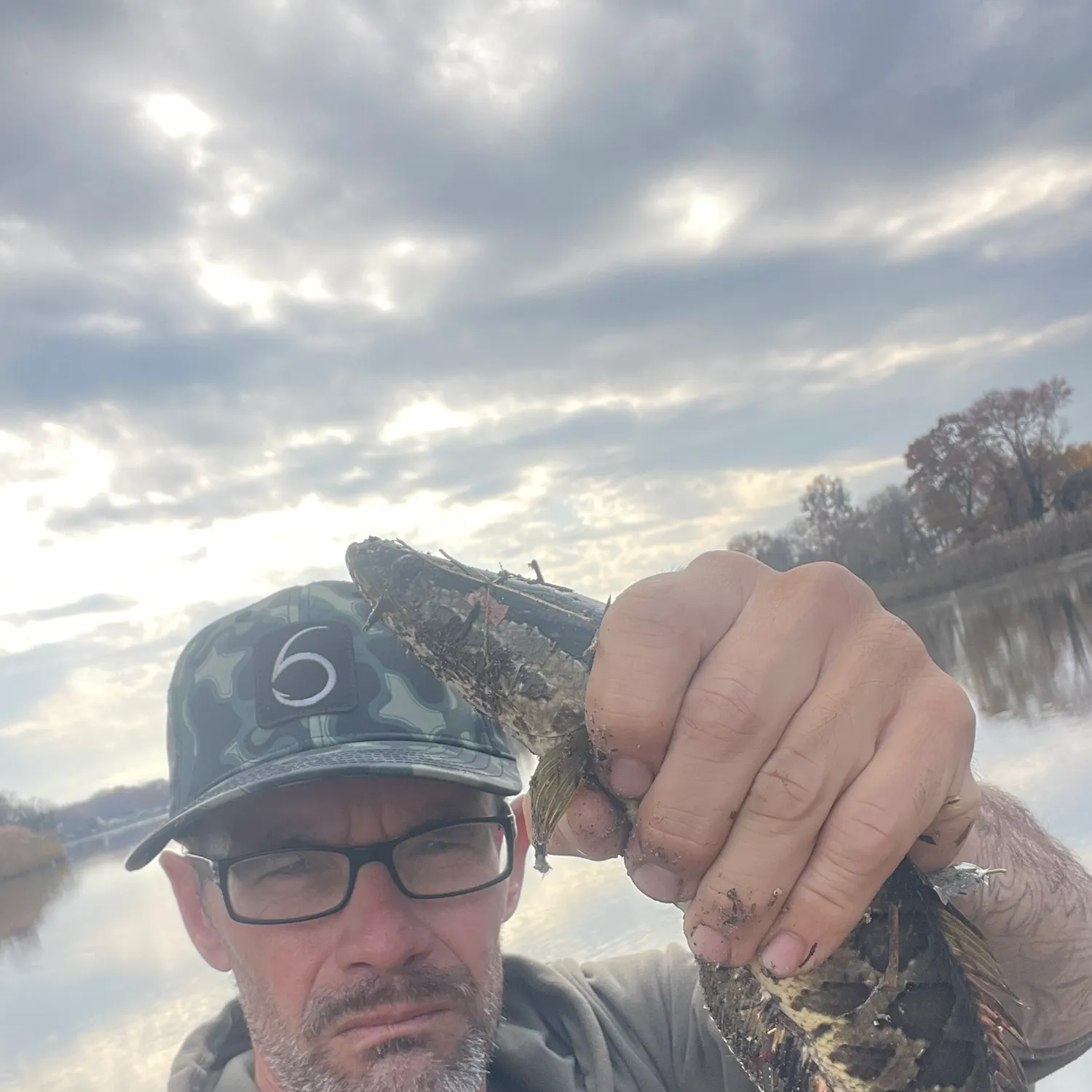 The most recent Northern snakehead catches on Fishbrain