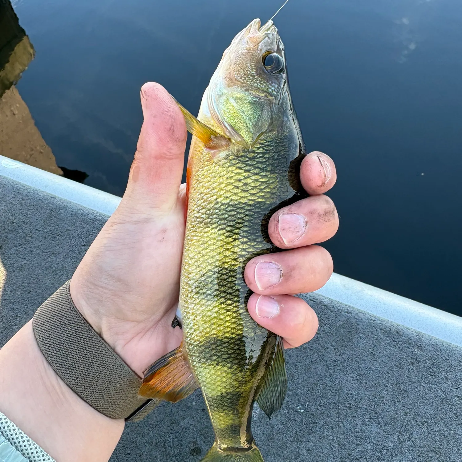 catch