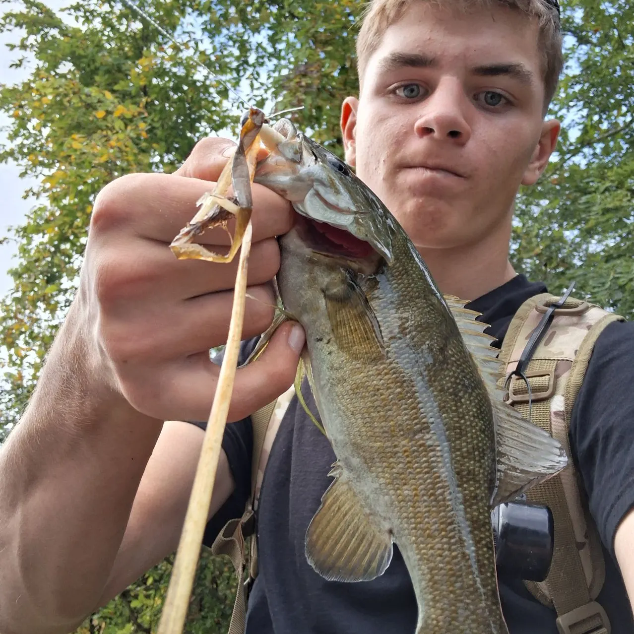 Smallmouth bass caught on Fishbrain