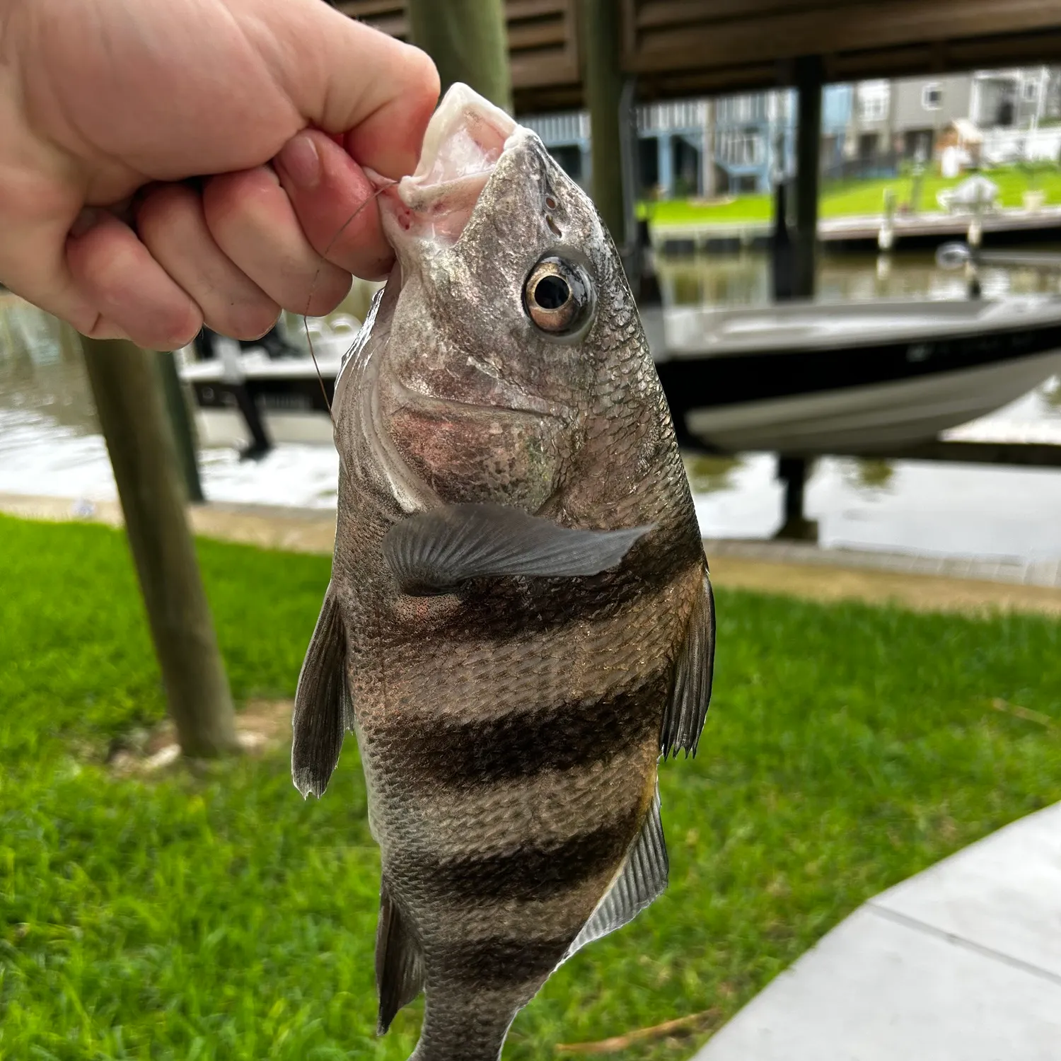 catch