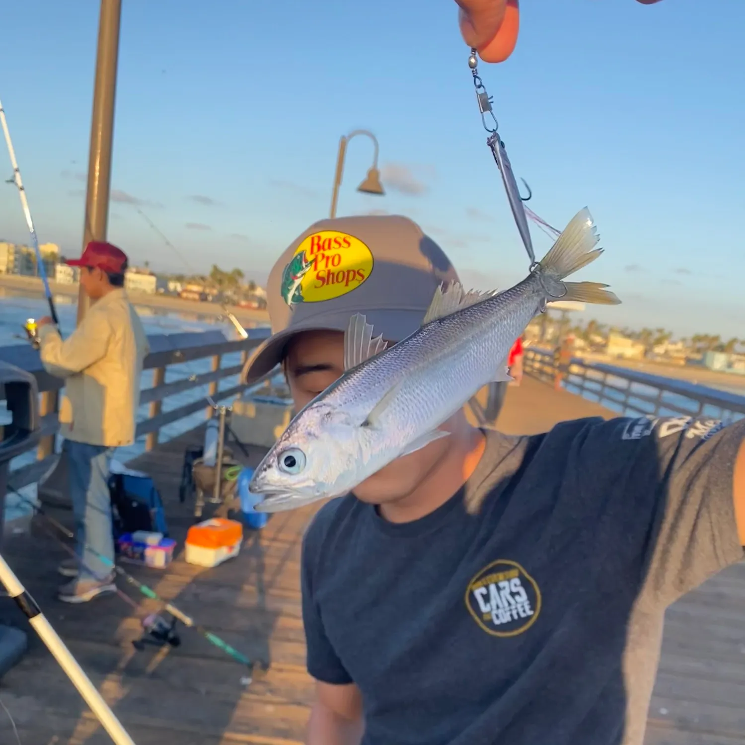 The most recent Queenfish catches on Fishbrain