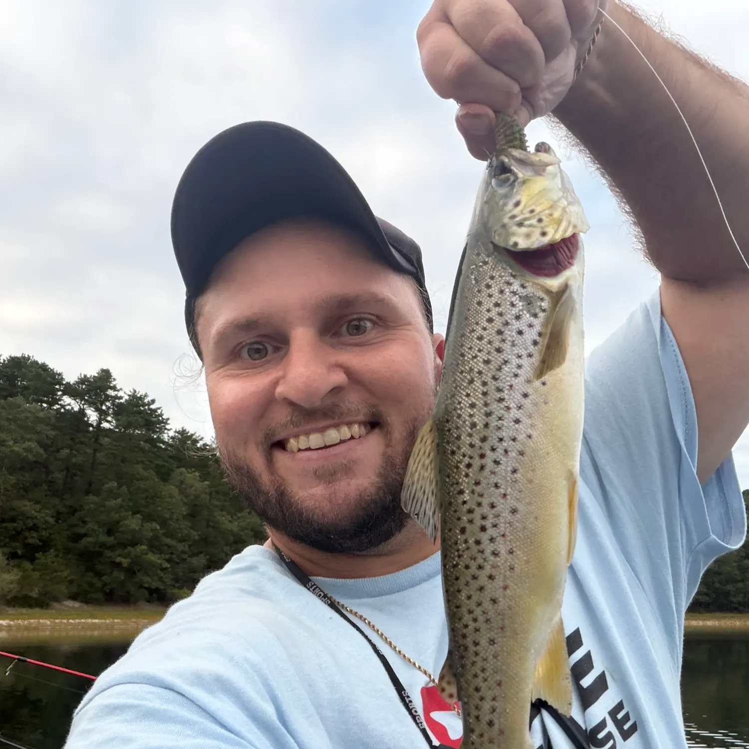 Brown trout caught on Fishbrain