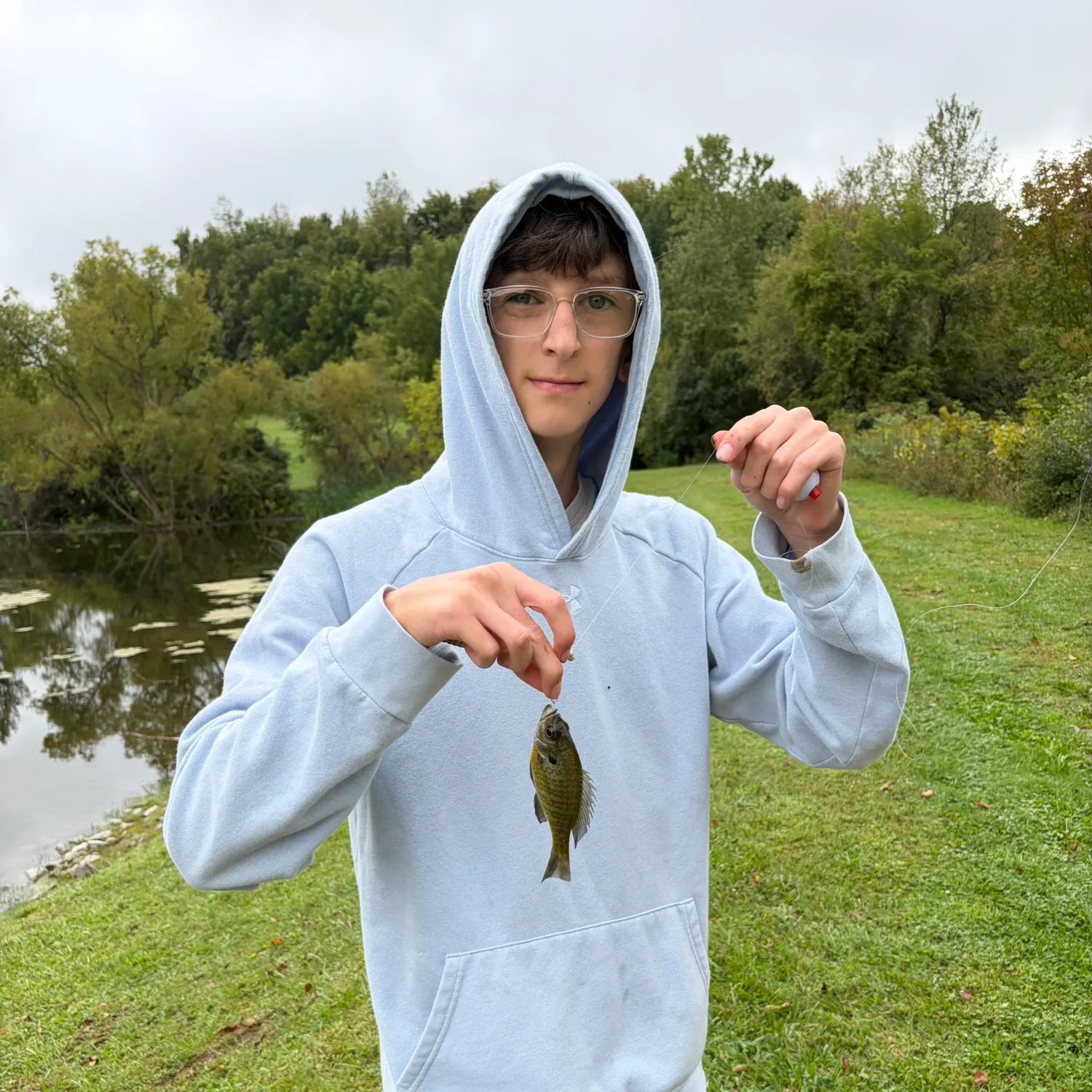 Bluegill caught on Fishbrain