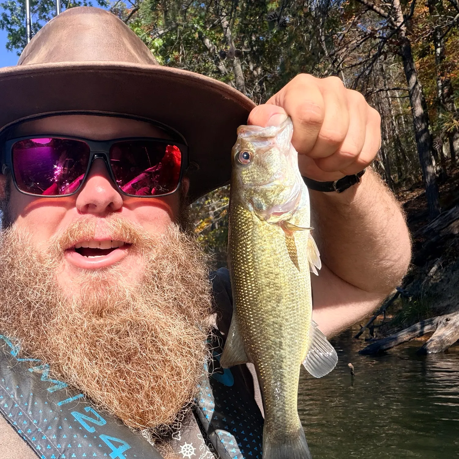 Largemouth bass caught on Fishbrain