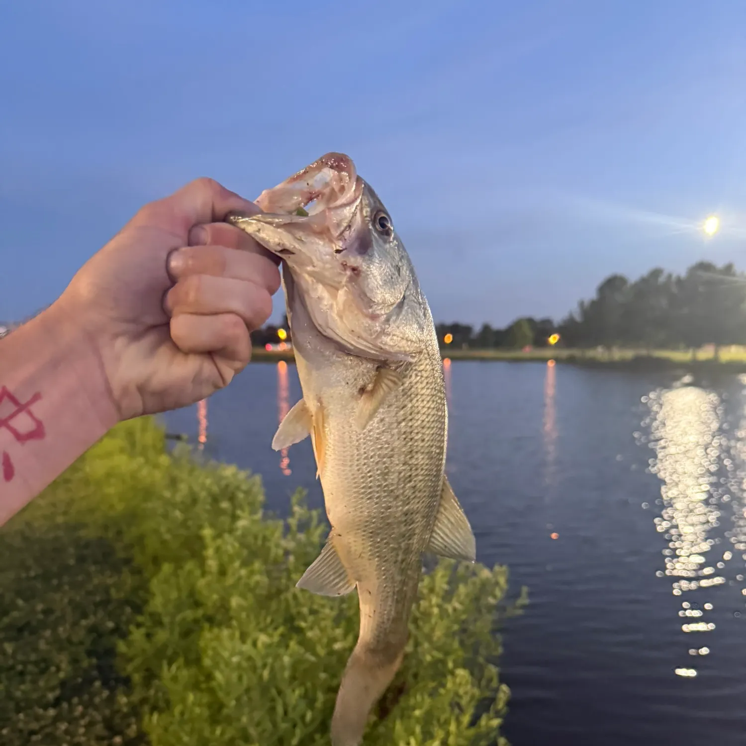 catch