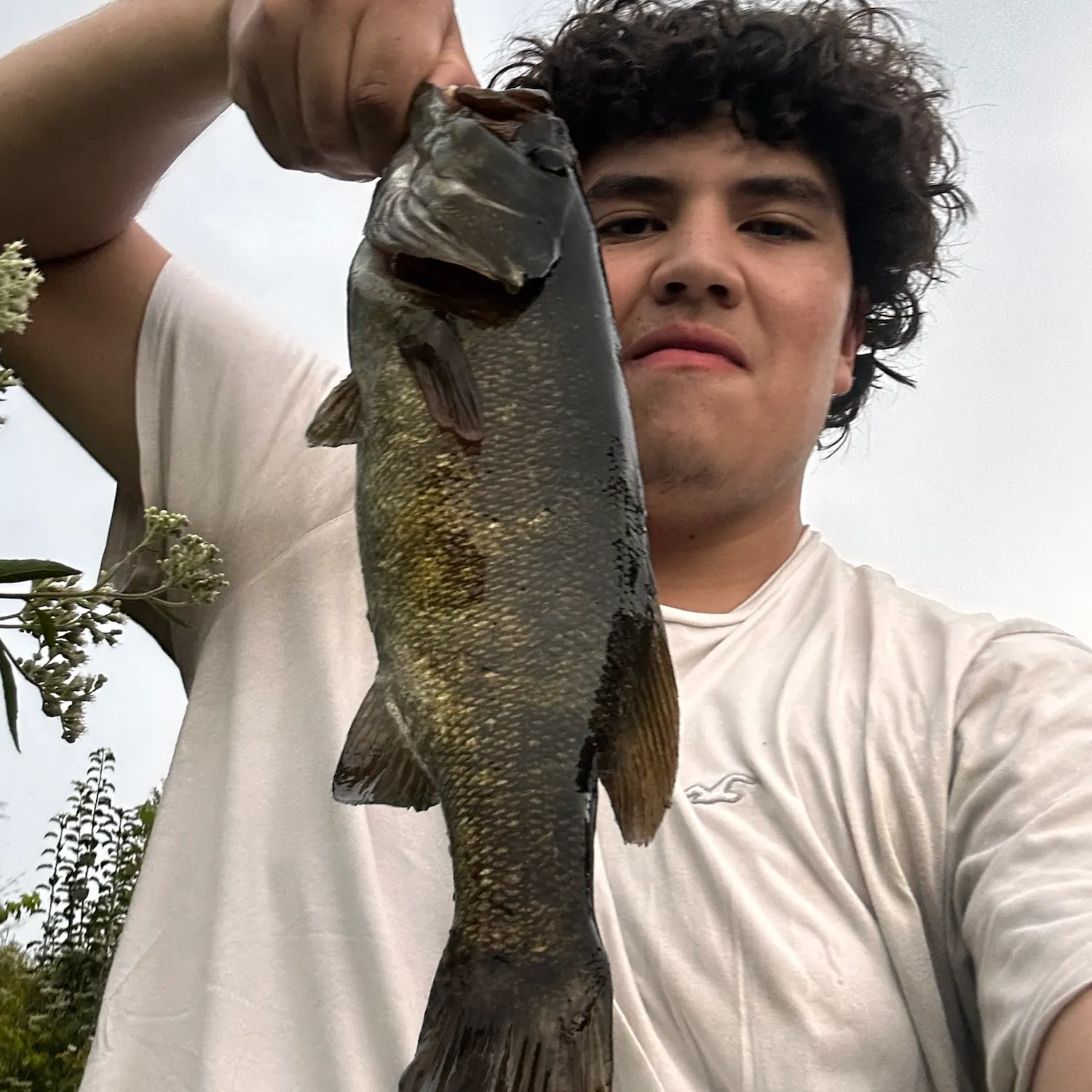 Smallmouth bass caught on Fishbrain