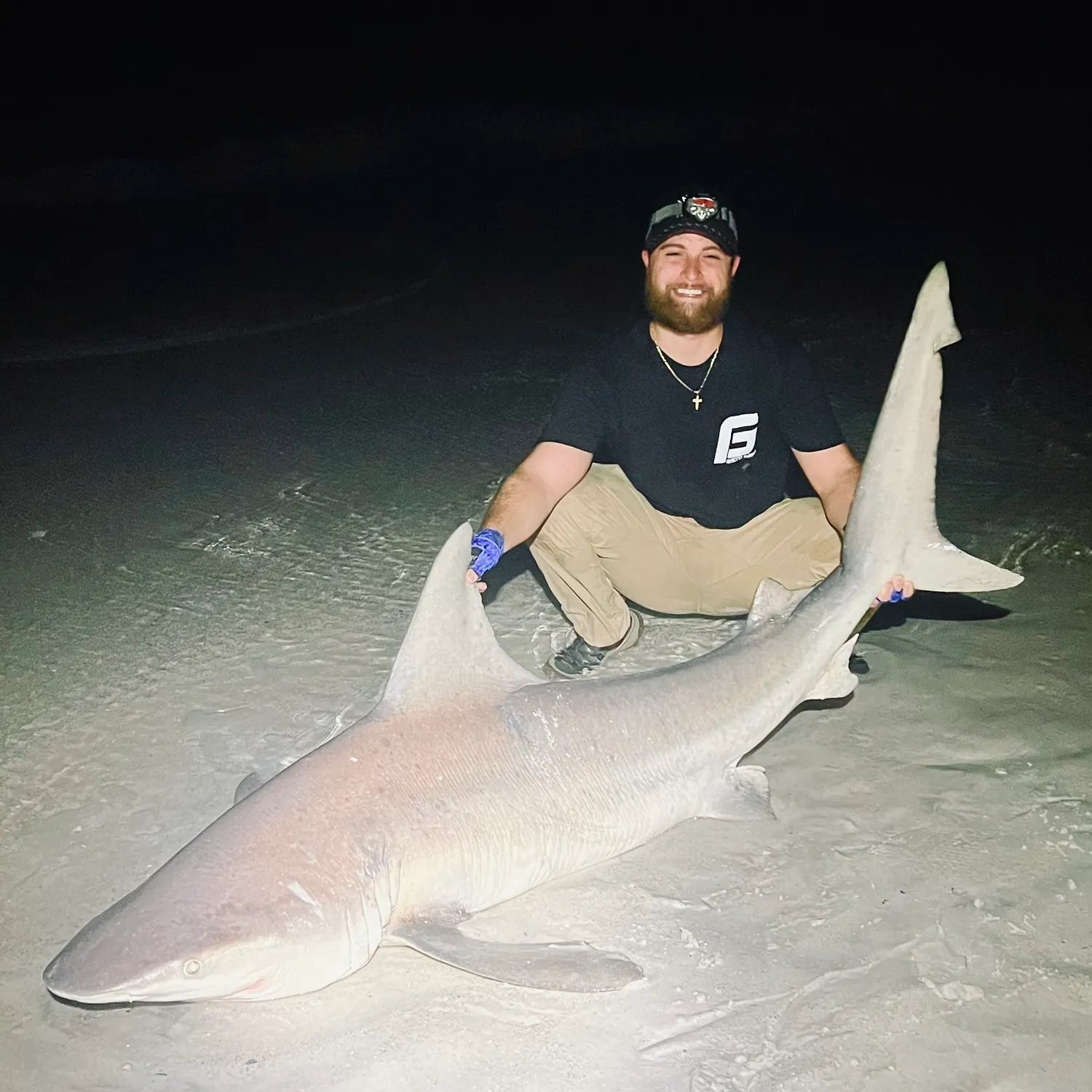 The most recent Sandbar shark catches on Fishbrain