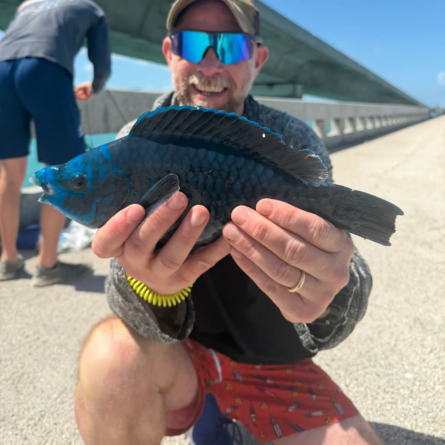The most recent Common parrotfish catches on Fishbrain