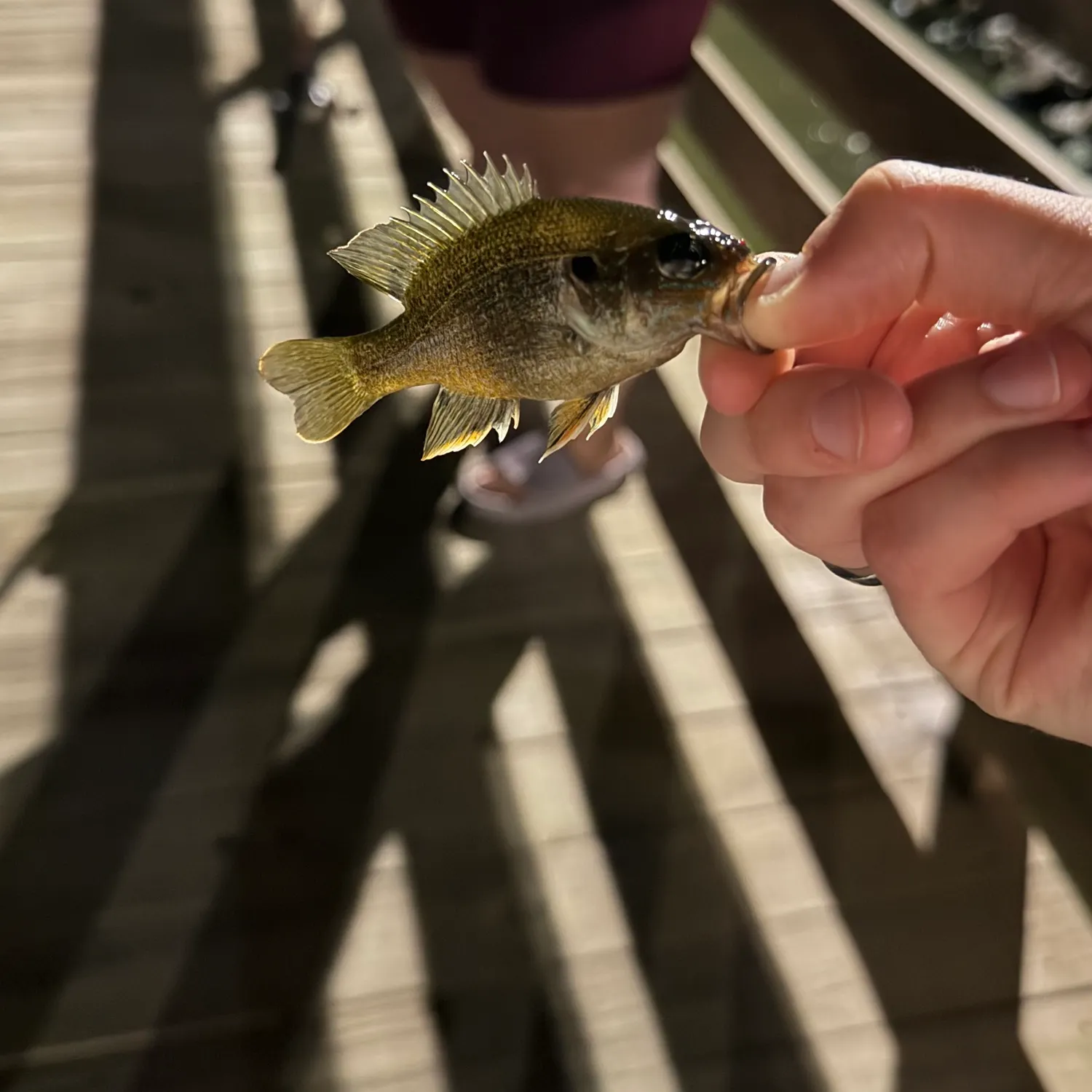 catch