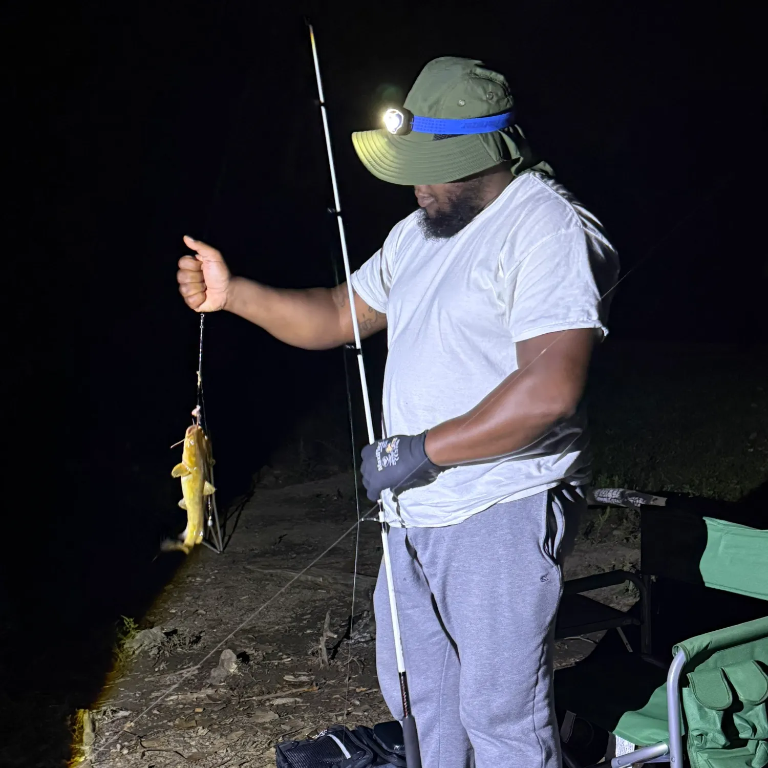 Flathead catfish caught on Fishbrain
