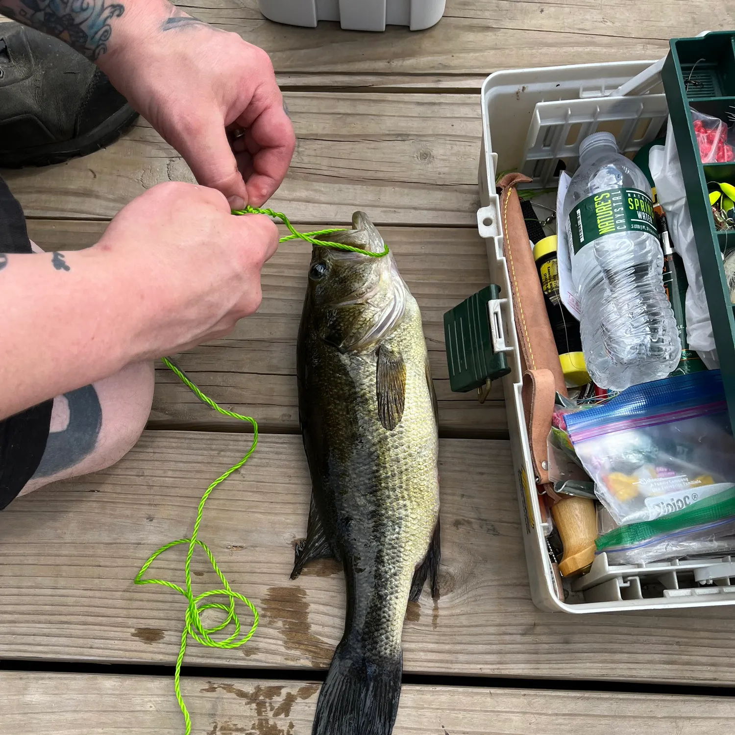 recently logged catches