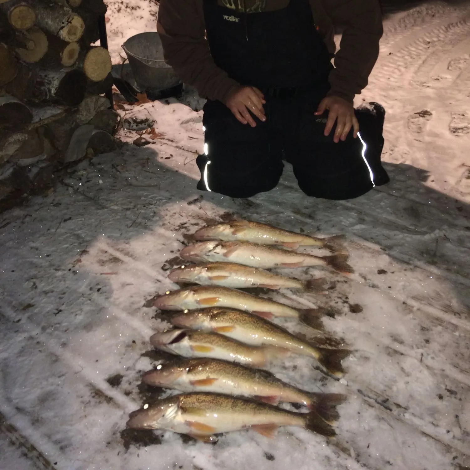 Walleye caught on Fishbrain