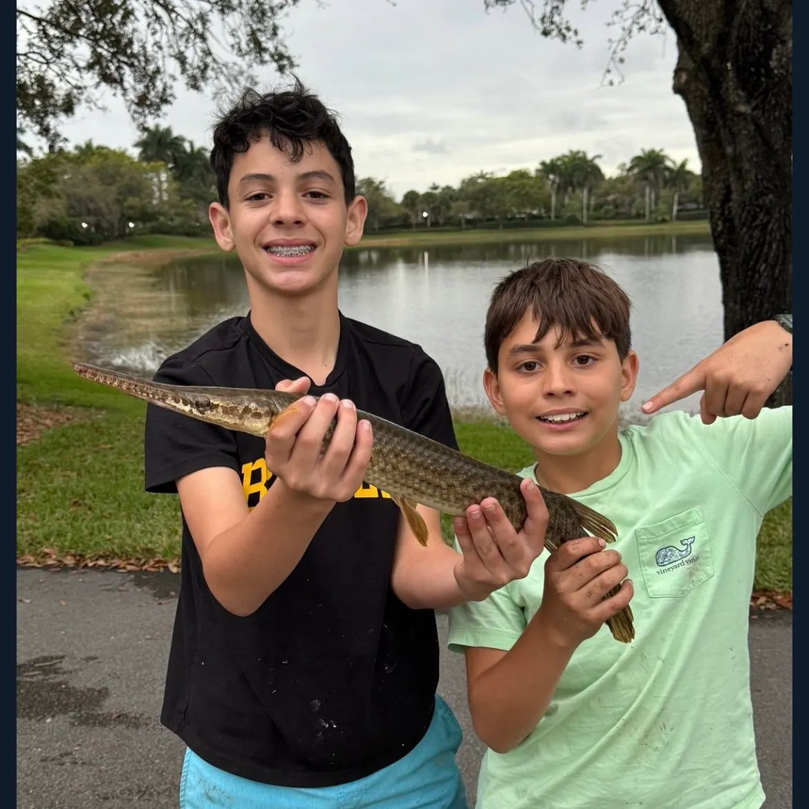 The most recent Florida gar catches on Fishbrain
