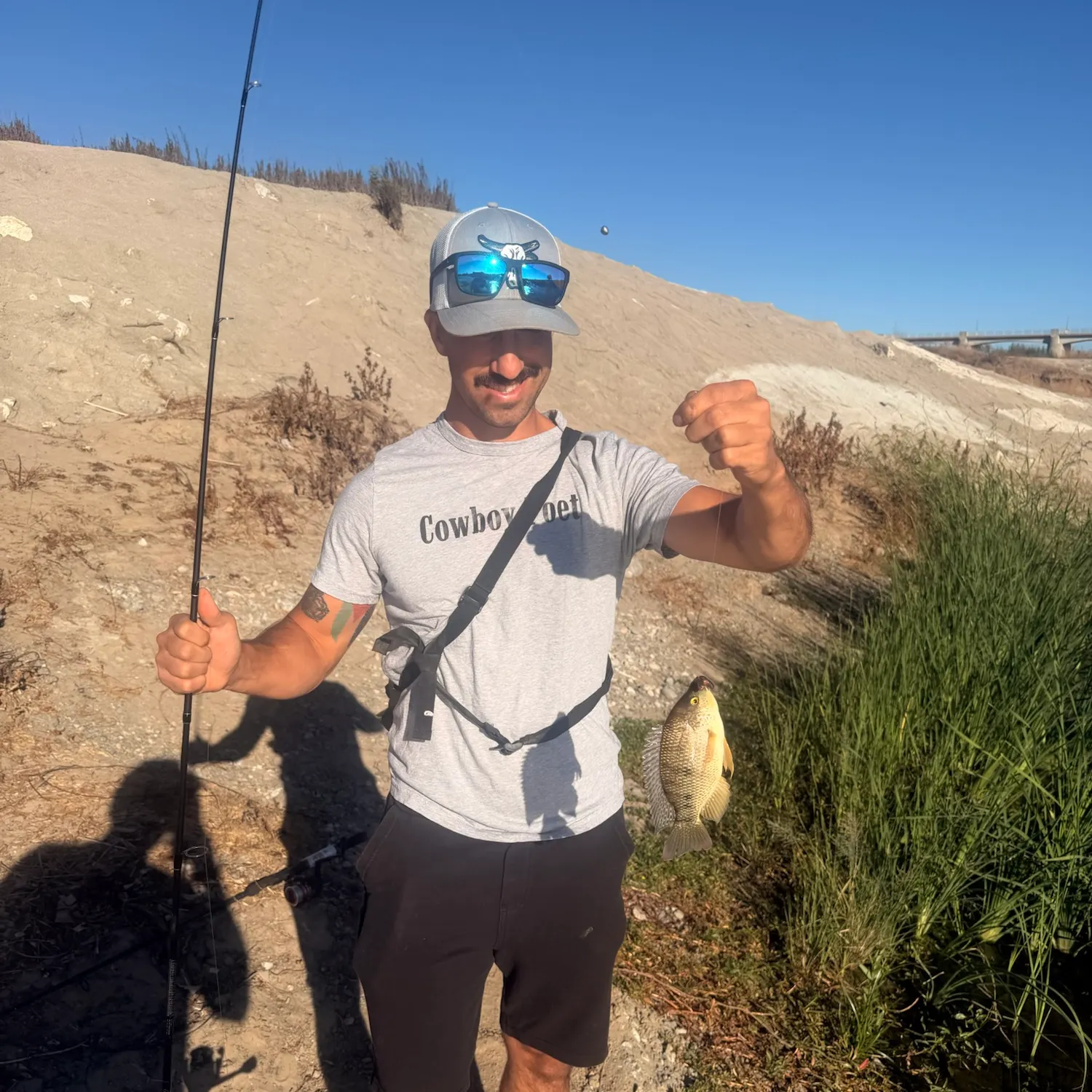 Redbelly tilapia caught on Fishbrain