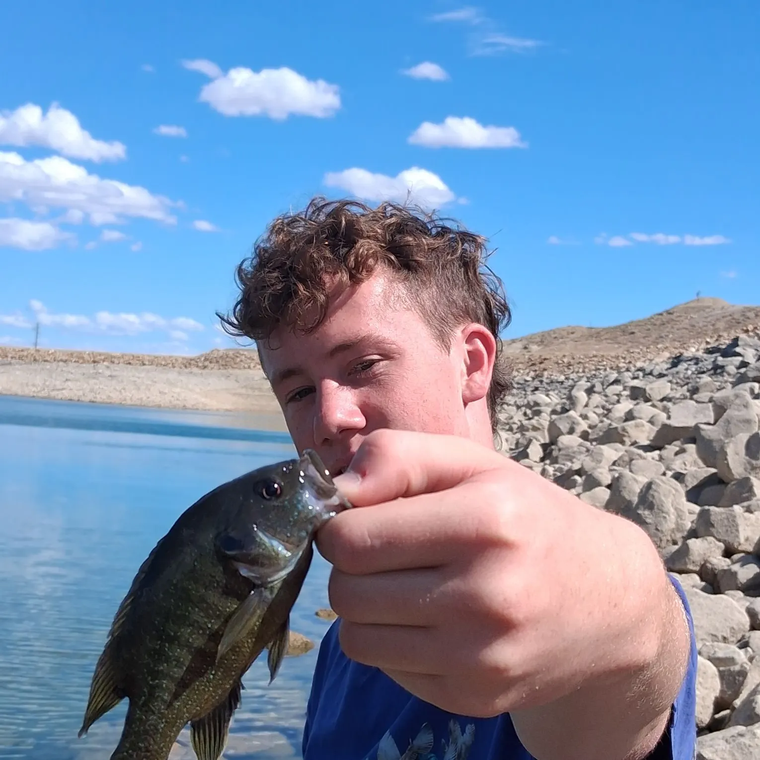 Greengill hybrid caught on Fishbrain