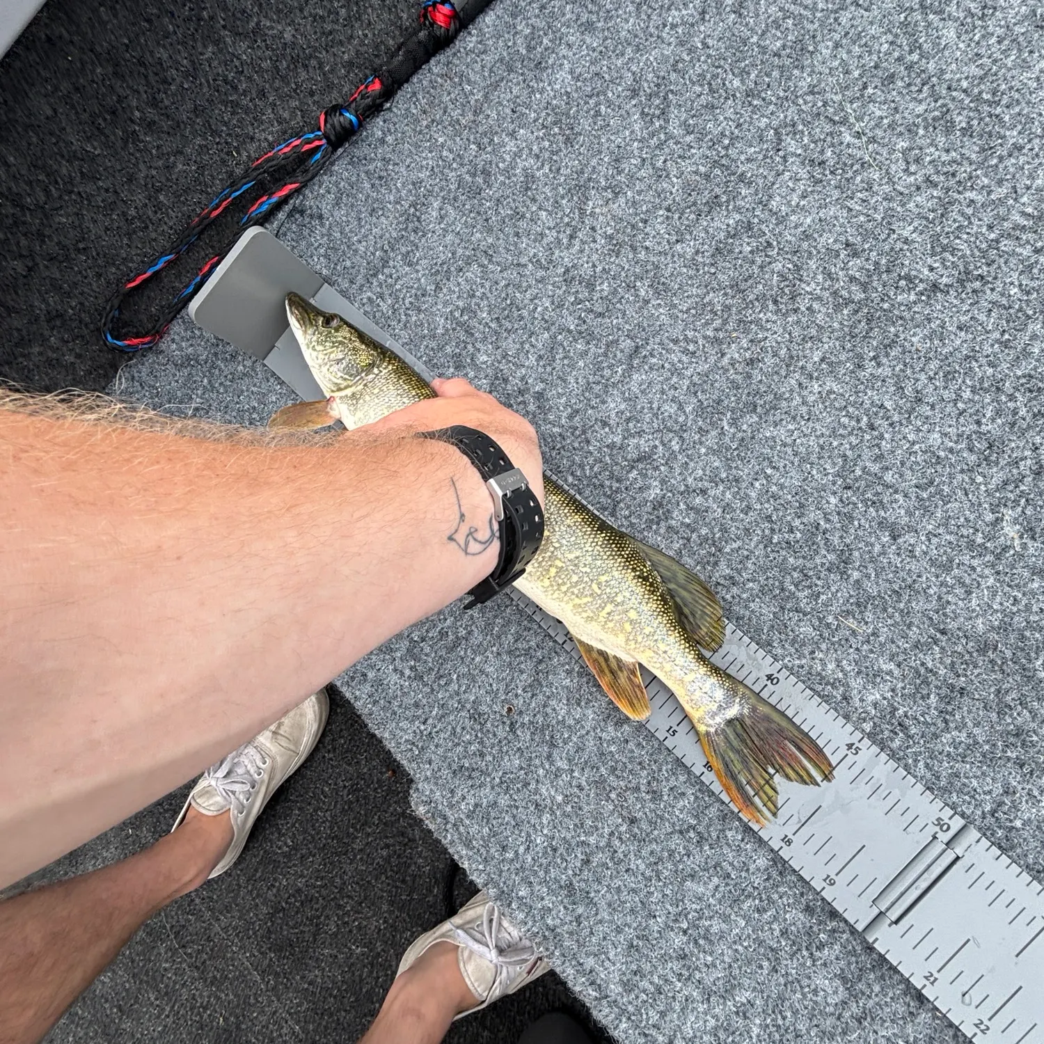 catch