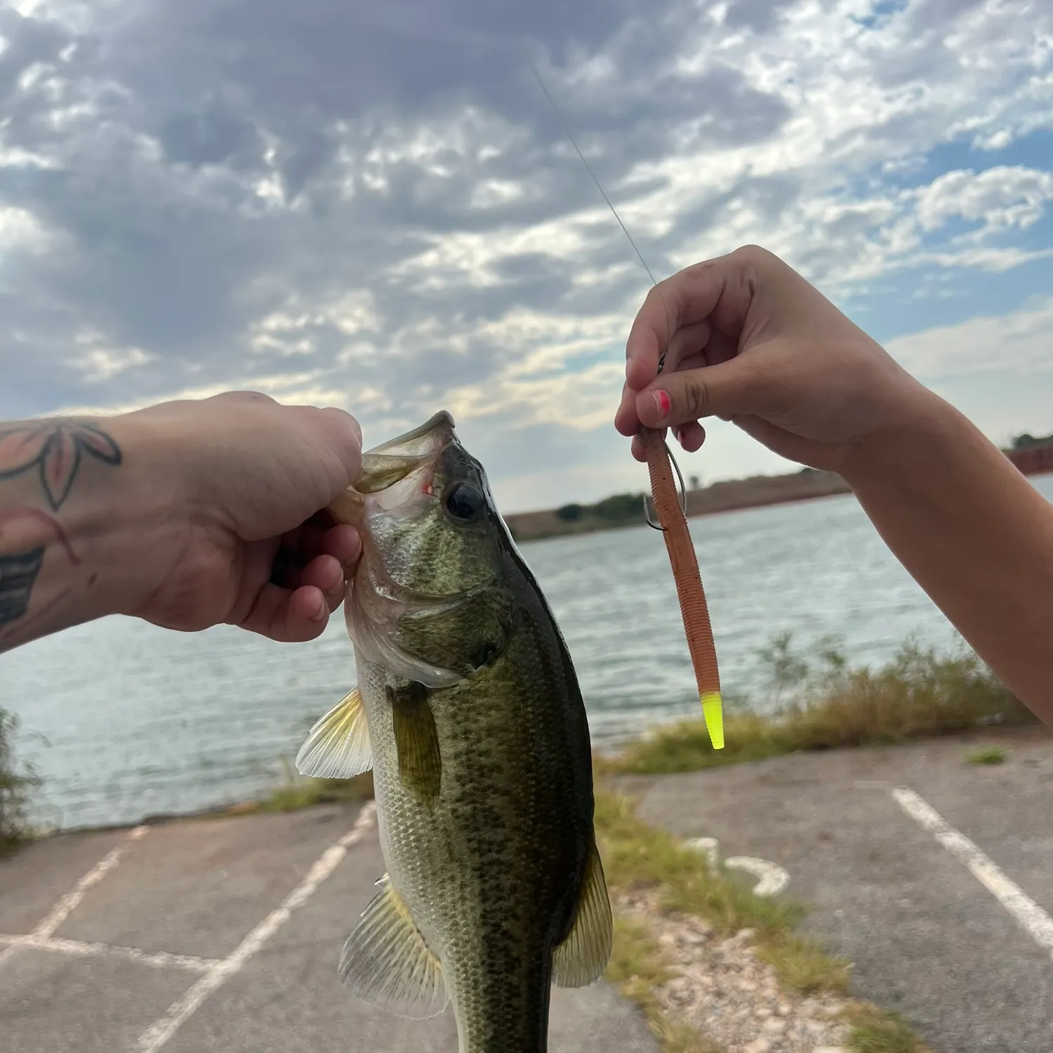 Largemouth bass caught on Fishbrain