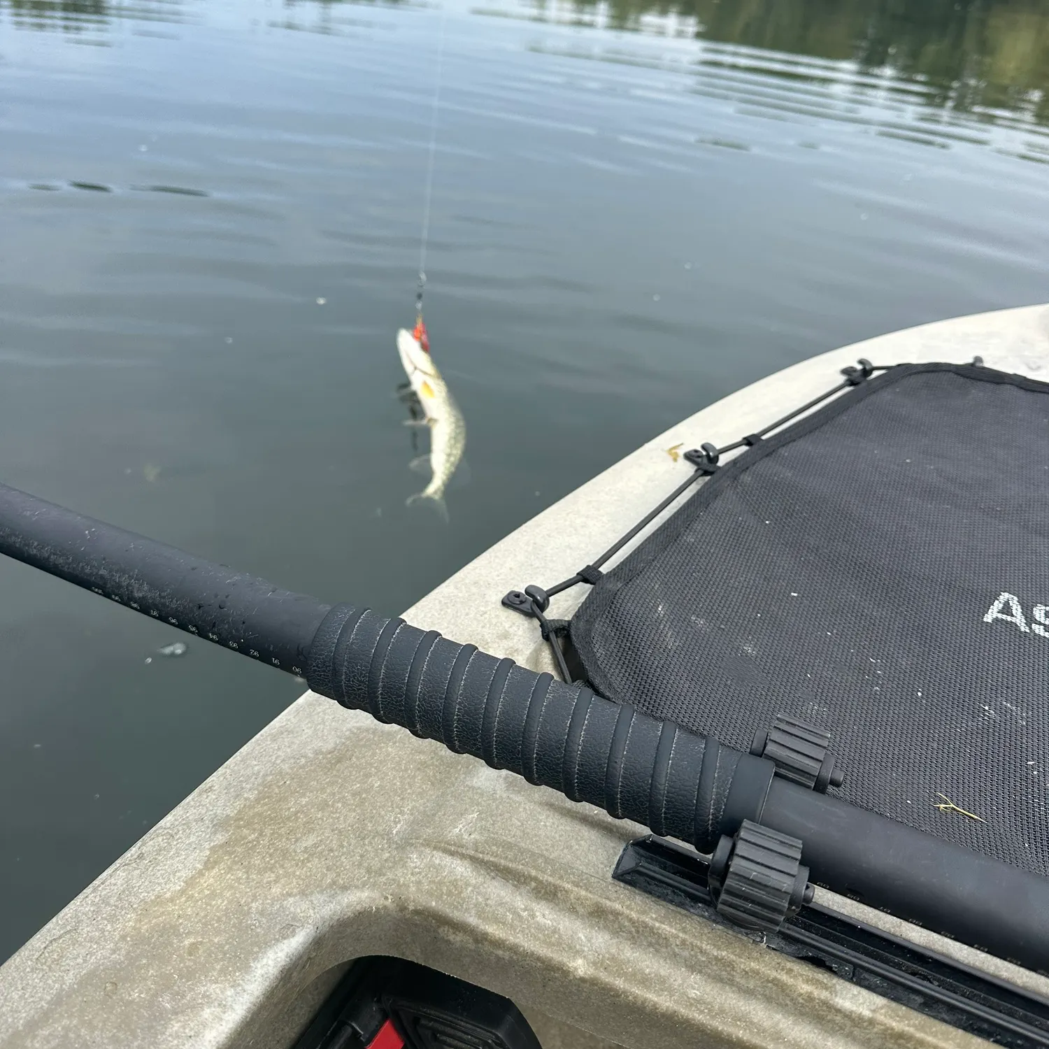 Northern pike caught on Fishbrain
