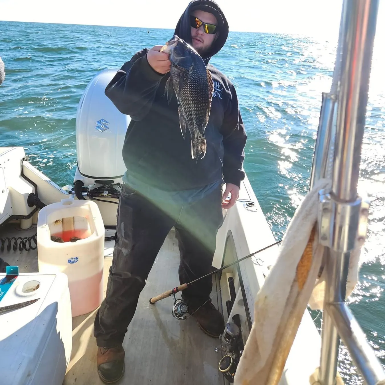 The most recent Black sea bass catches on Fishbrain