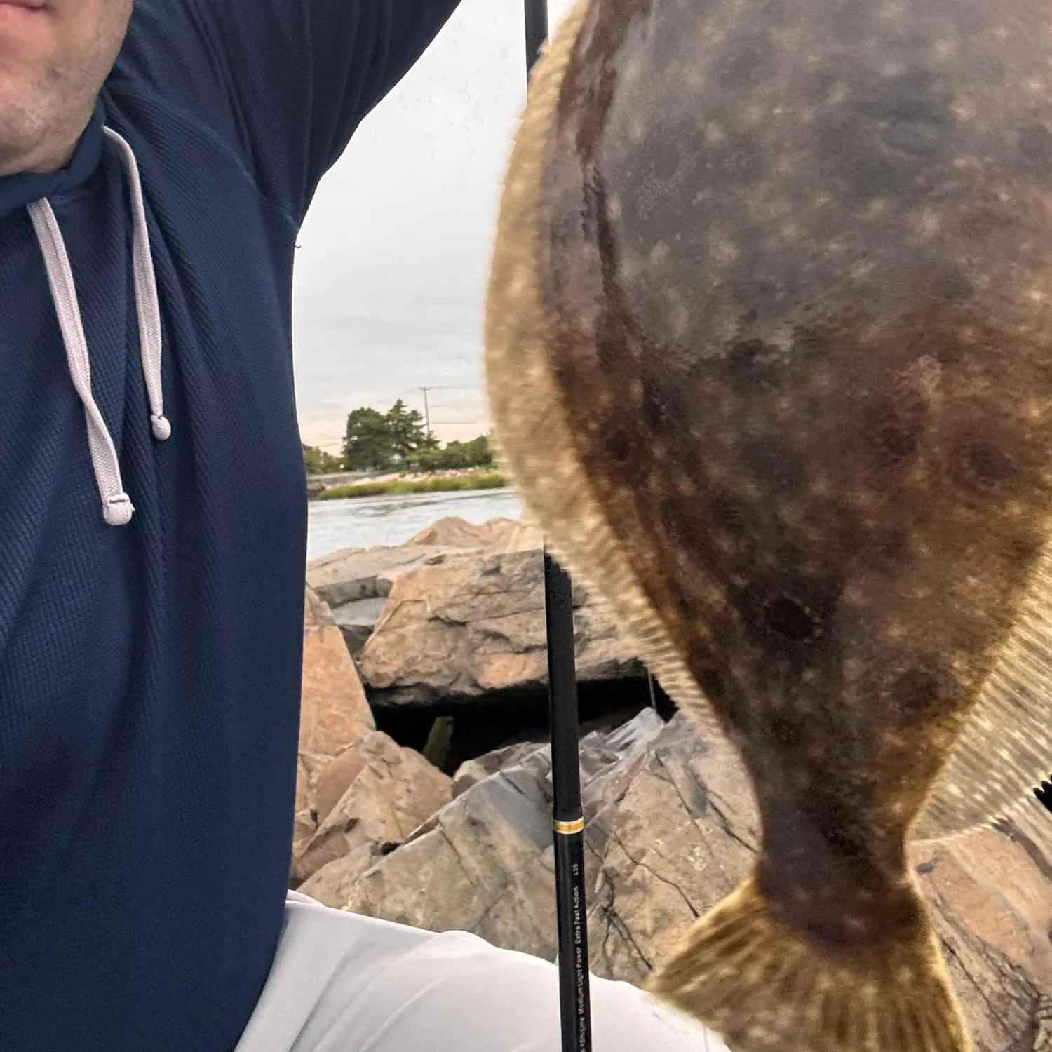 Summer flounder caught on Fishbrain