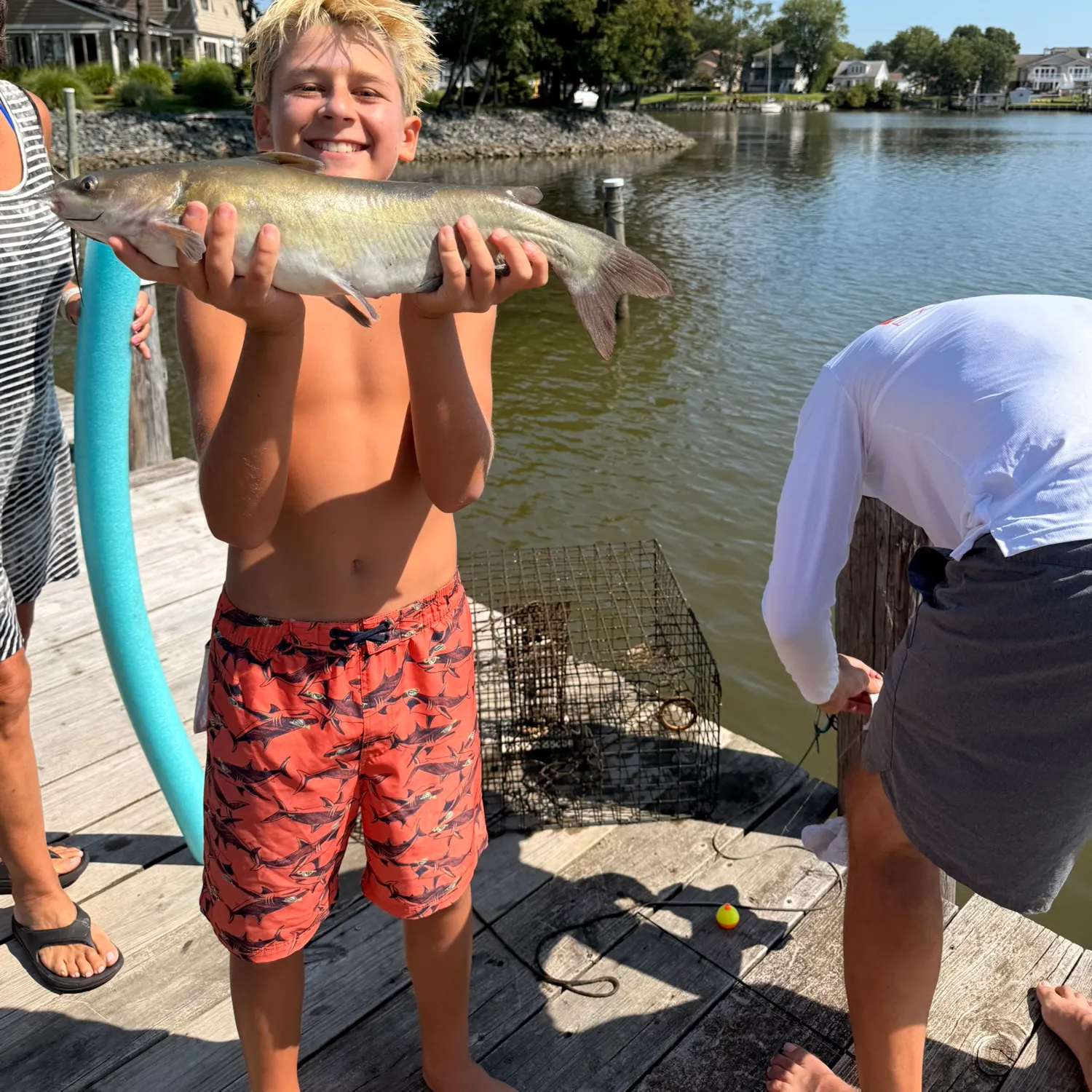 Channel catfish caught on Fishbrain