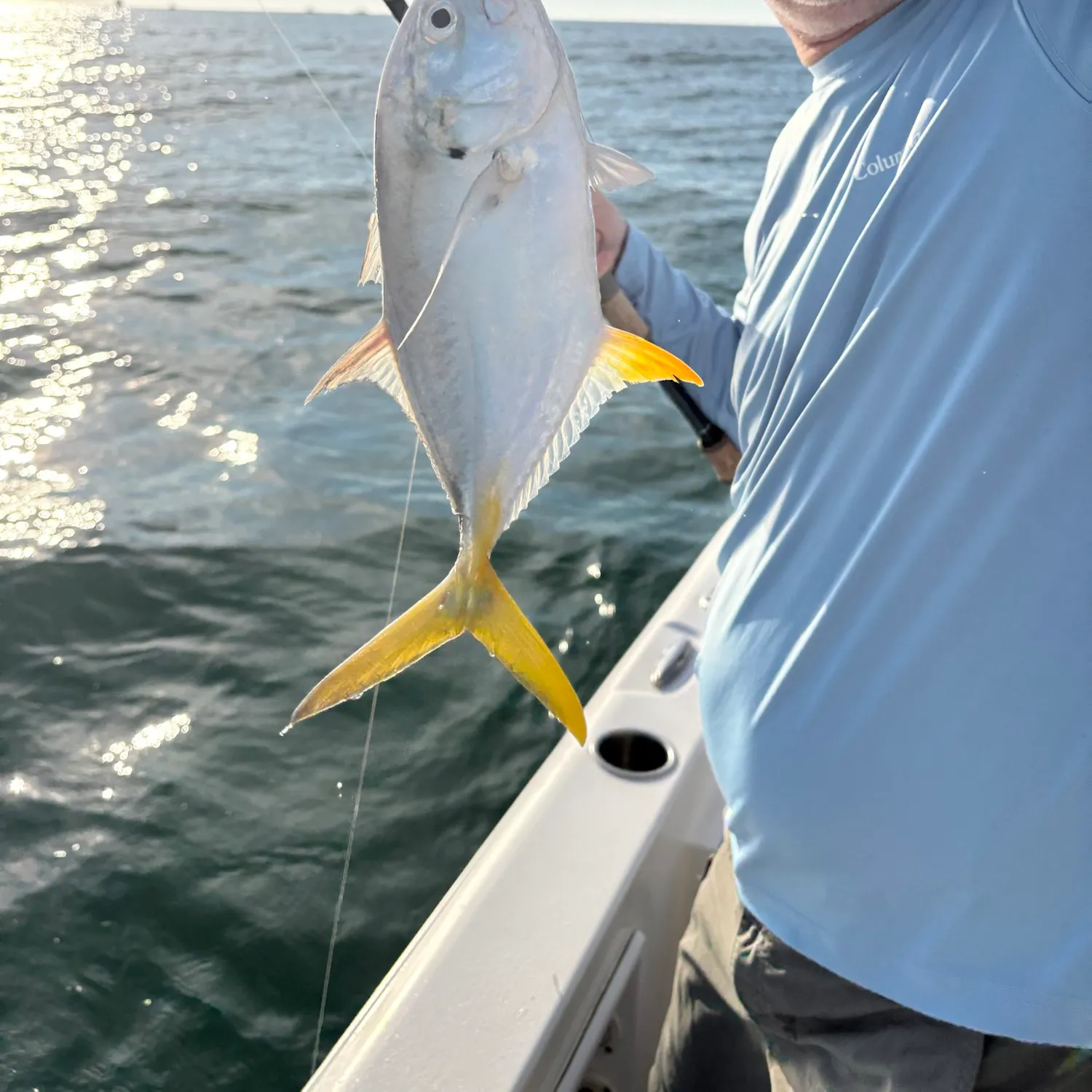 Crevalle jack caught on Fishbrain