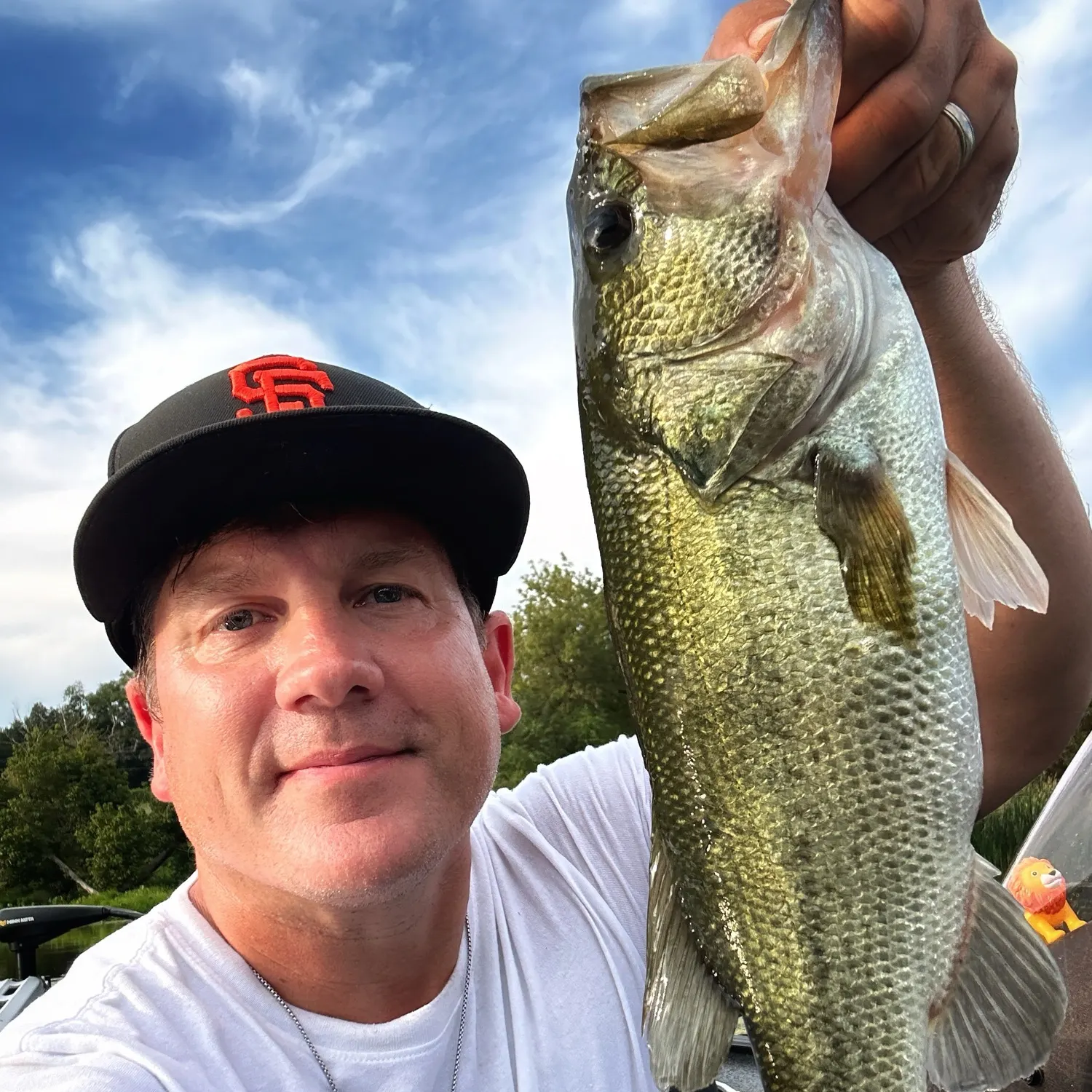 Largemouth bass caught on Fishbrain
