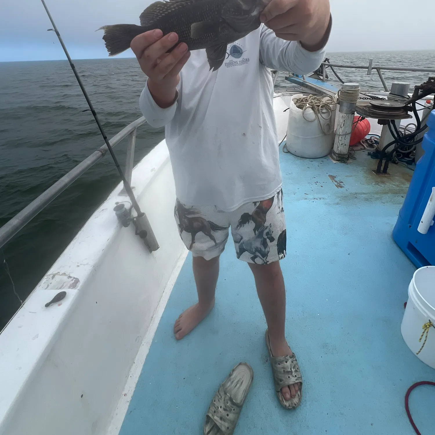 The most recent Black sea bass catches on Fishbrain