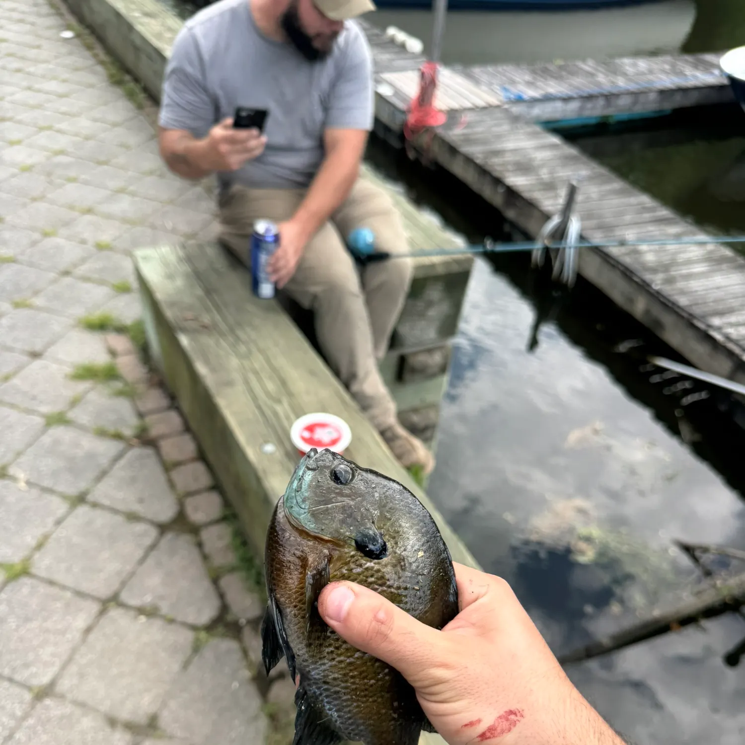 catch
