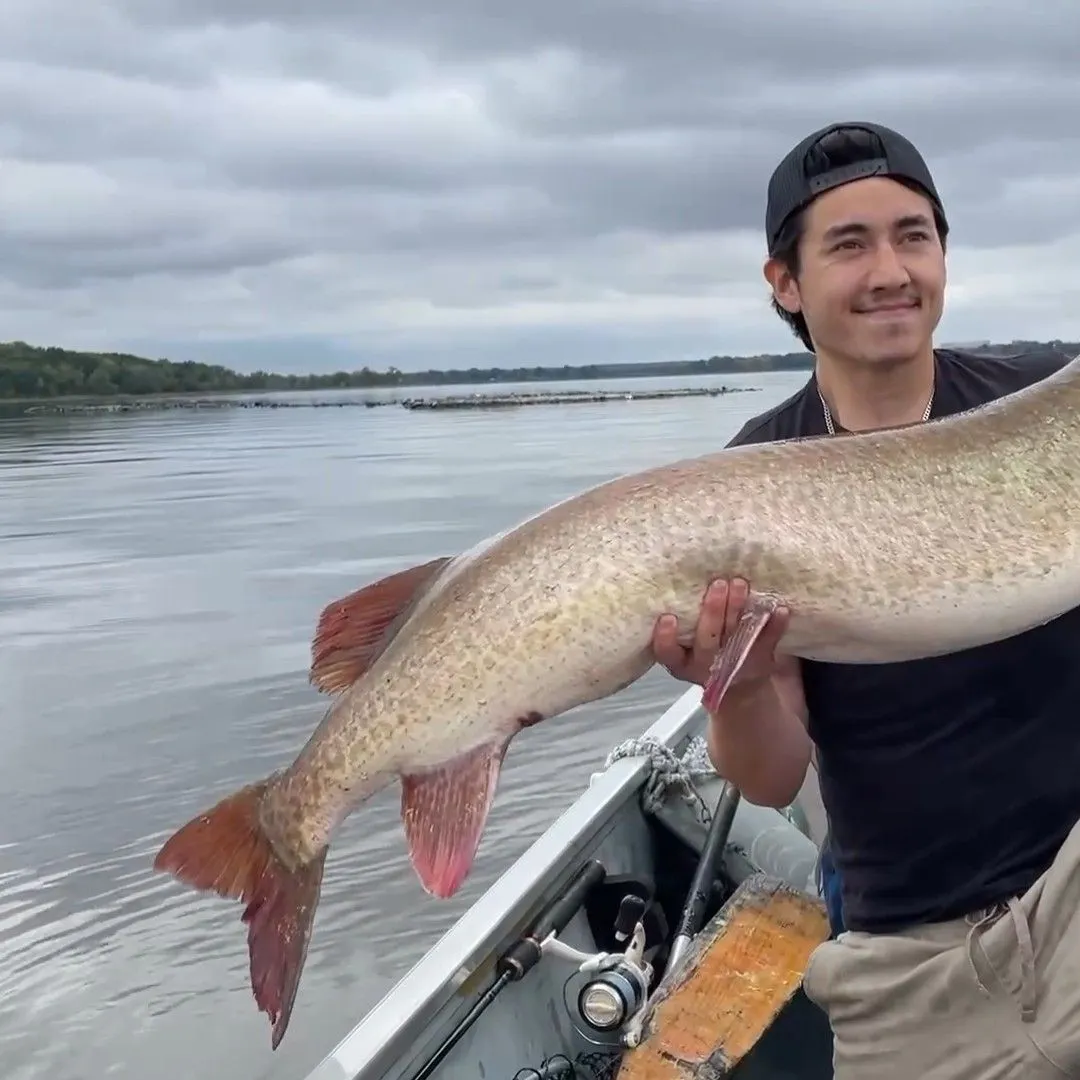 Muskie caught on Fishbrain
