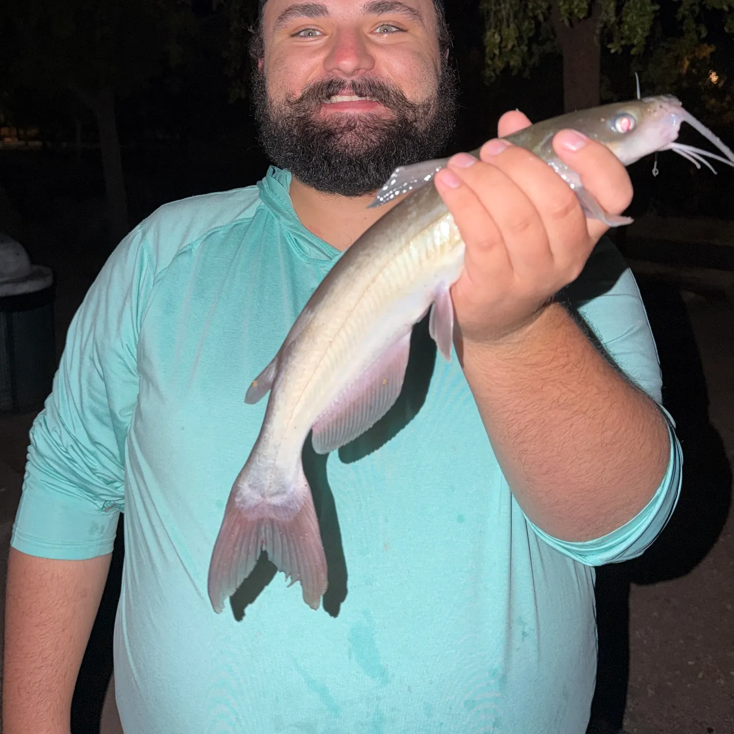 Channel catfish caught on Fishbrain