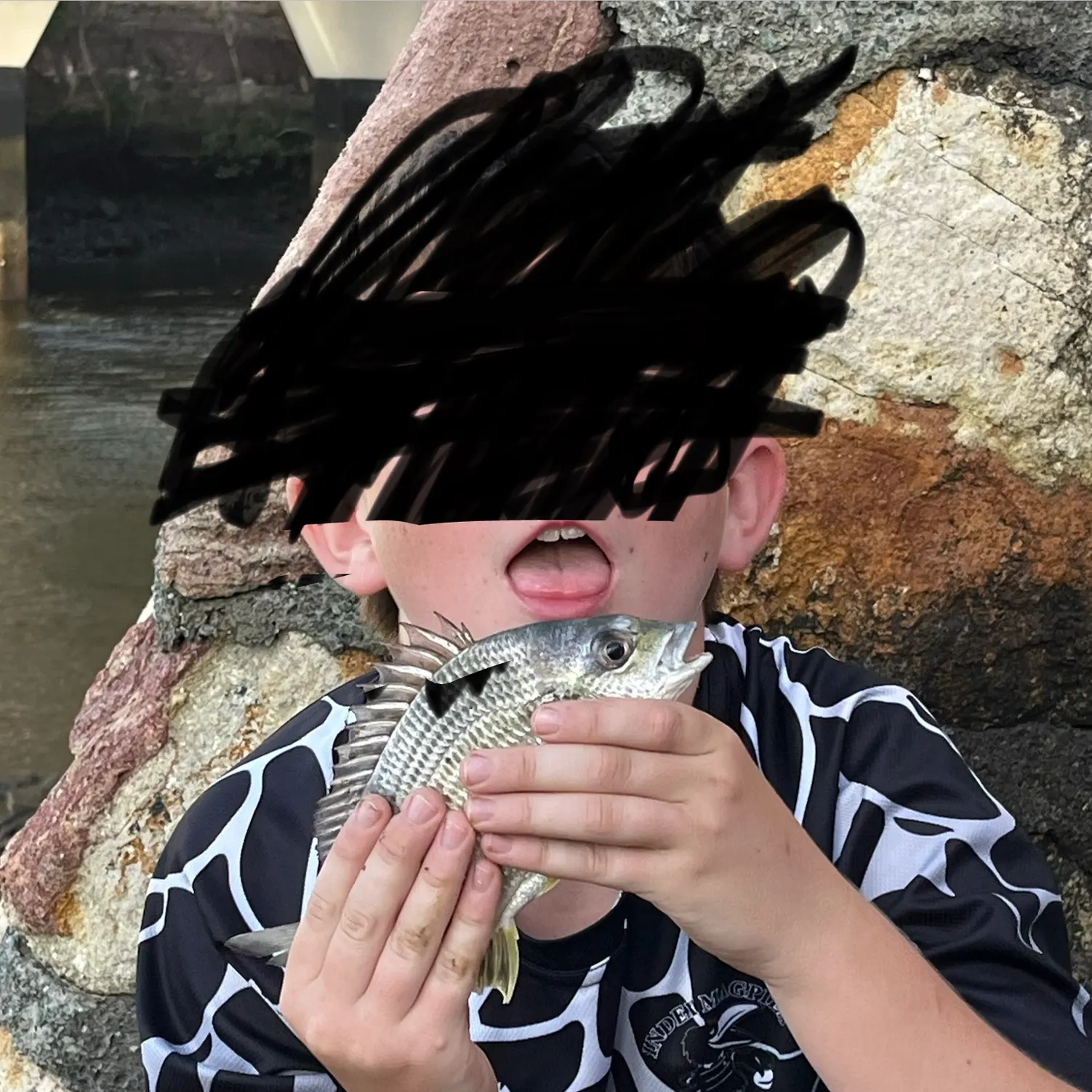 The most recent Surf bream catches on Fishbrain