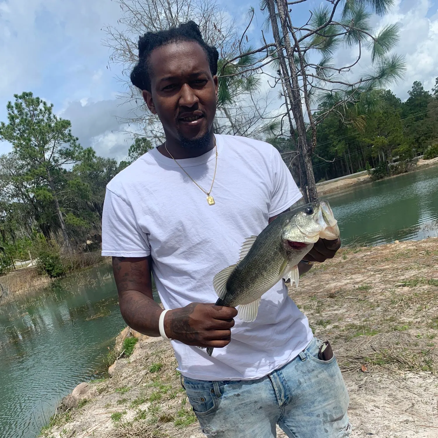 Largemouth bass caught on Fishbrain