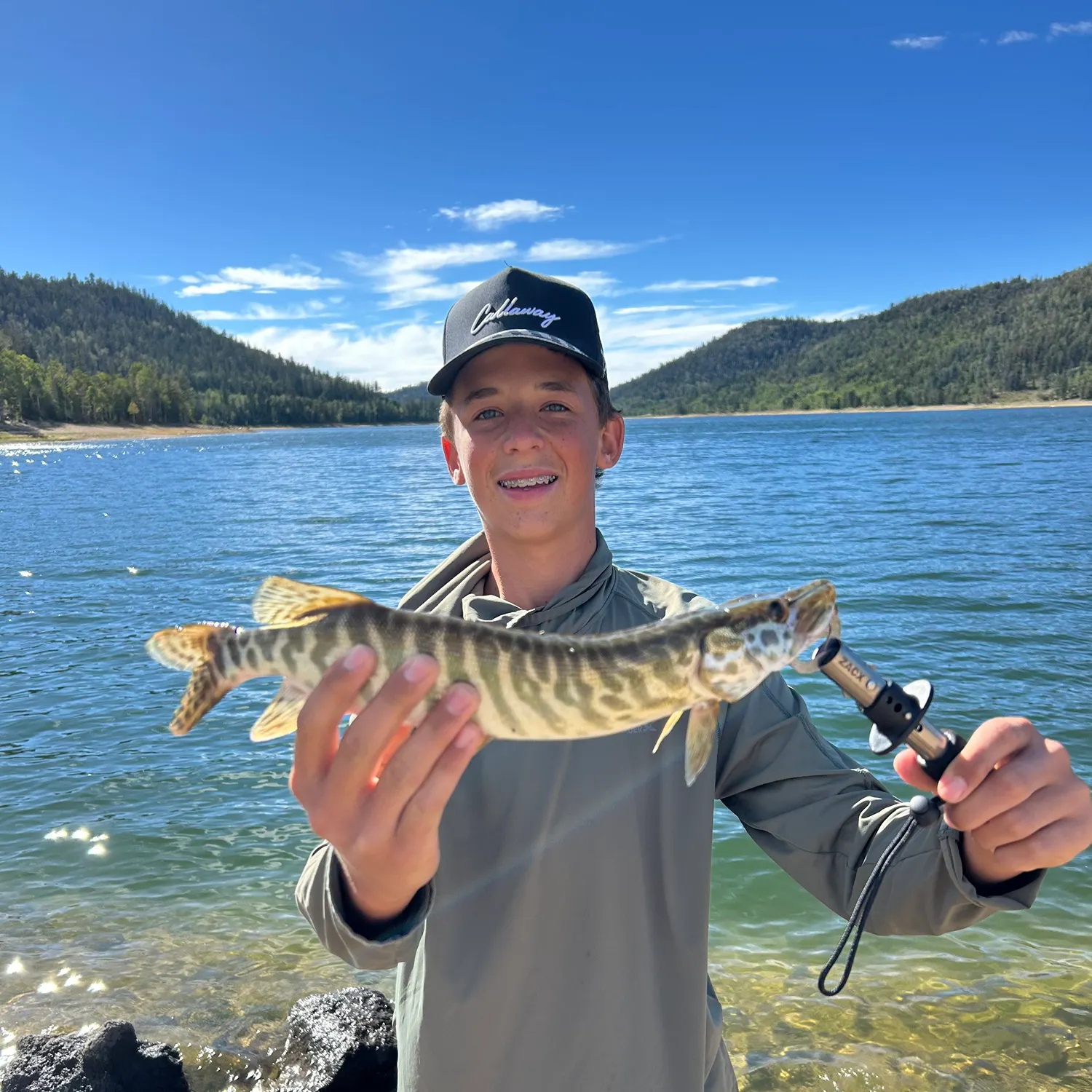 The most recent Tiger muskie catches on Fishbrain