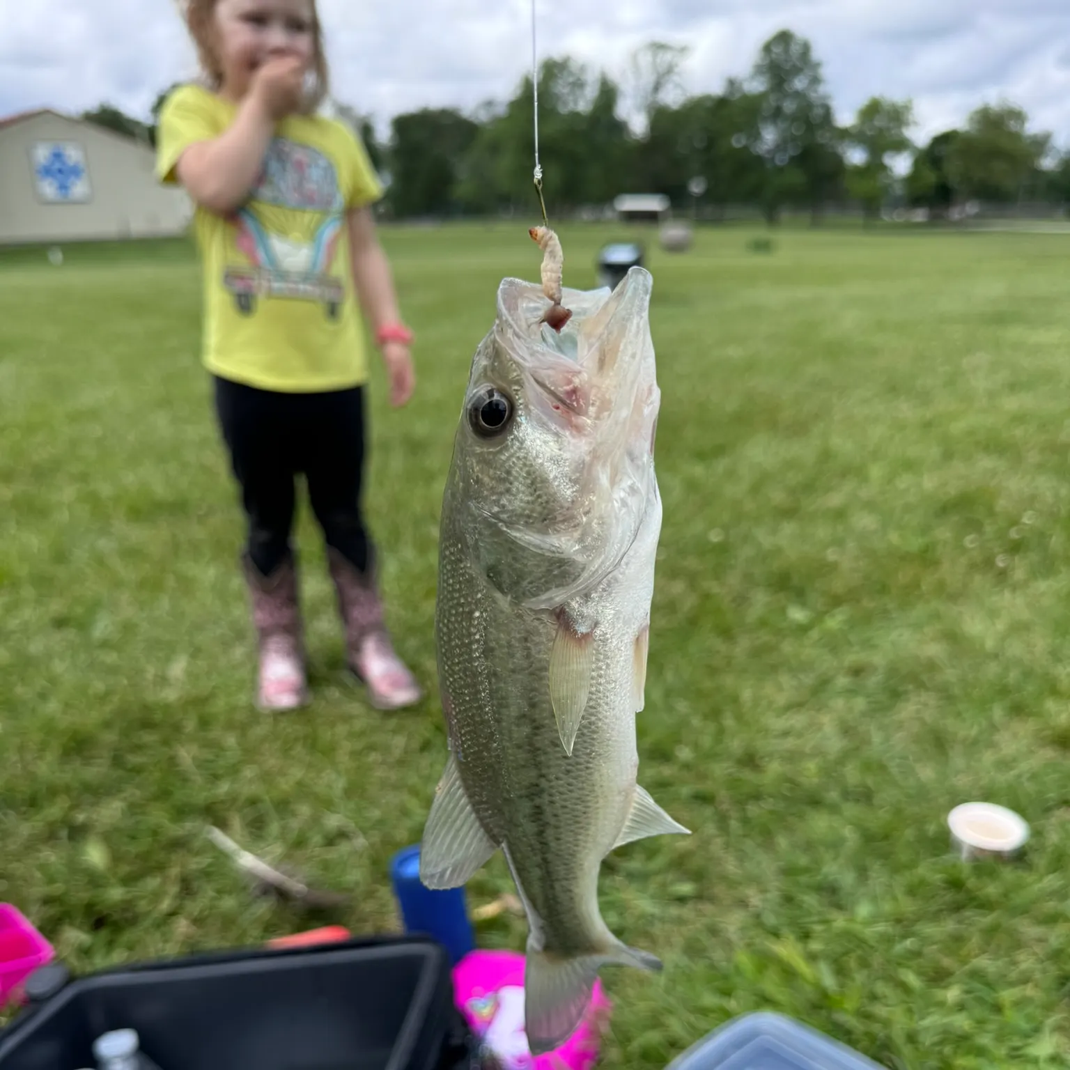 catch