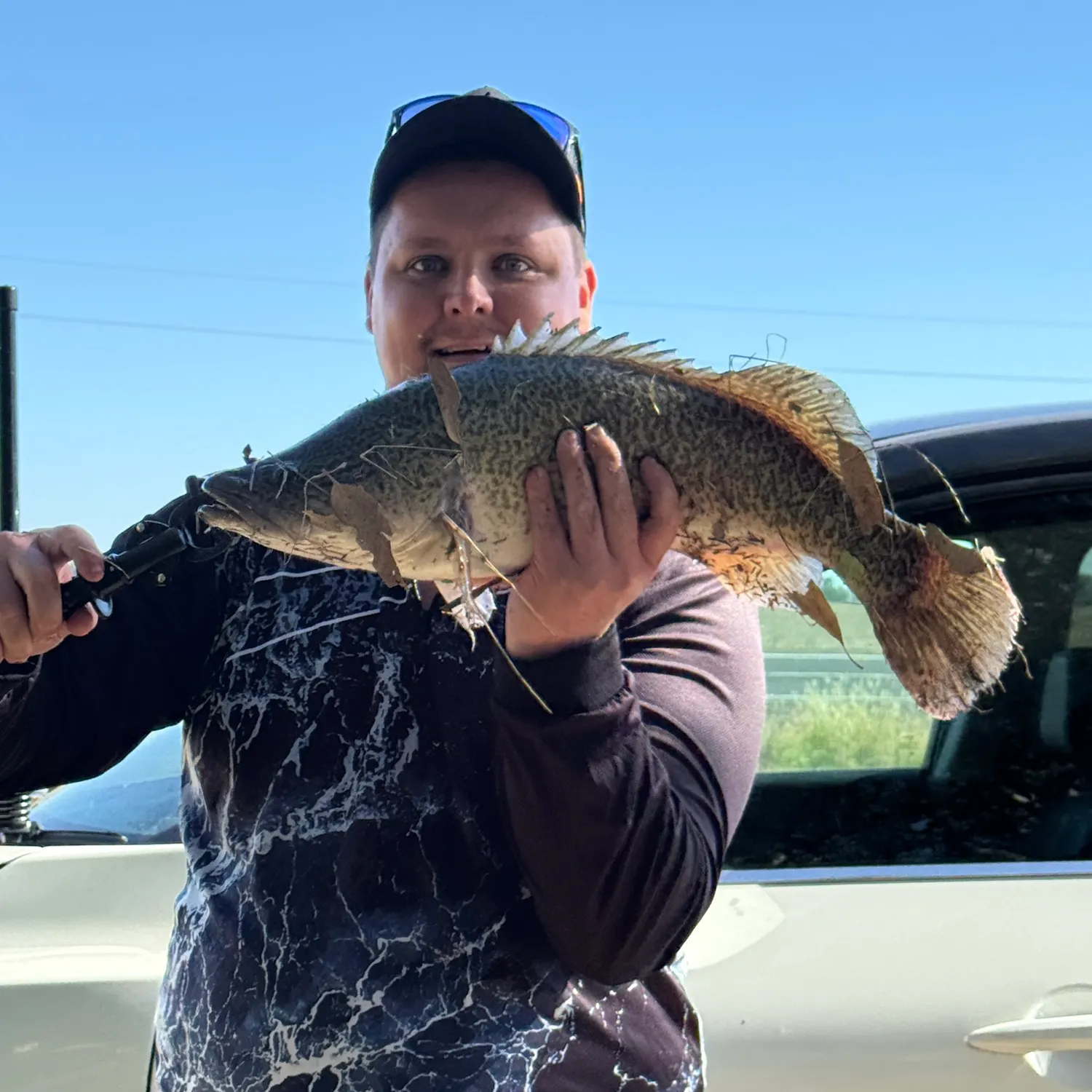 The most recent Murray cod catches on Fishbrain