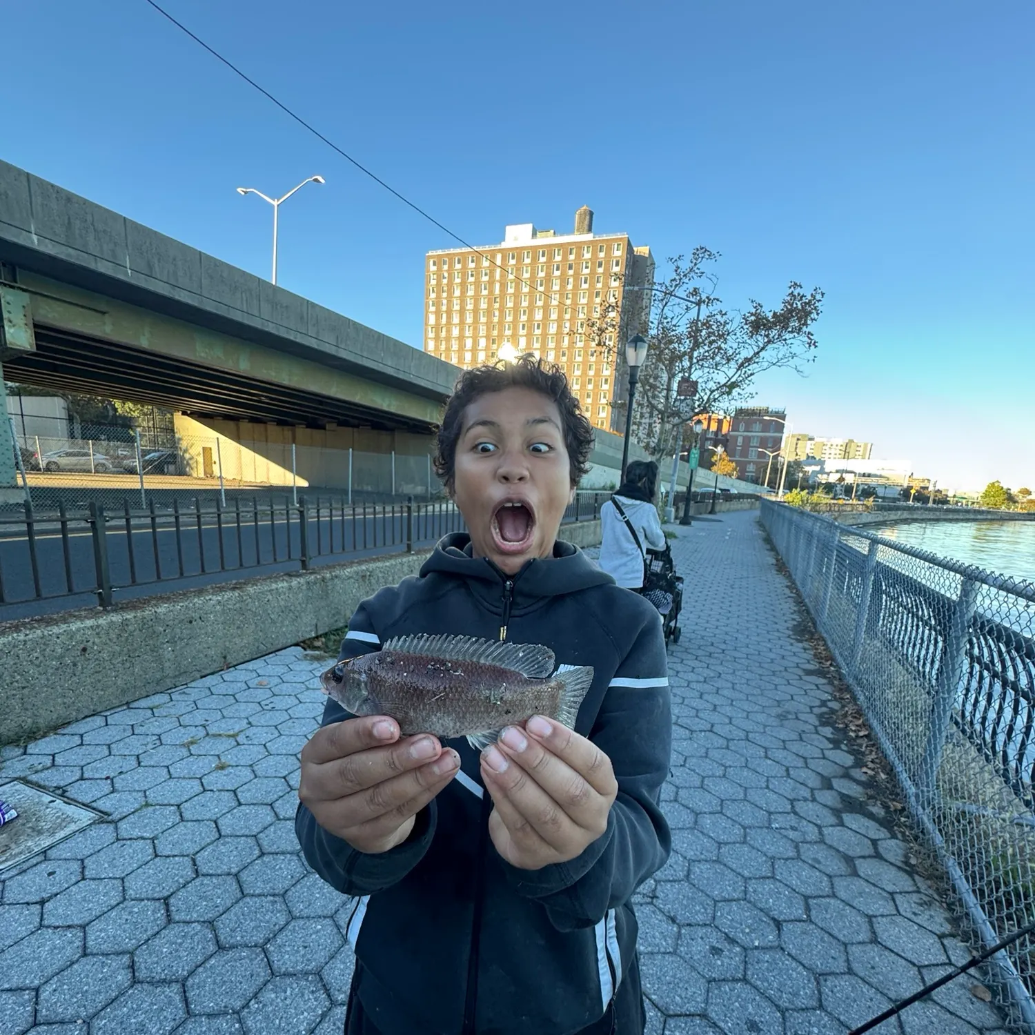 The most recent Cunner catches on Fishbrain