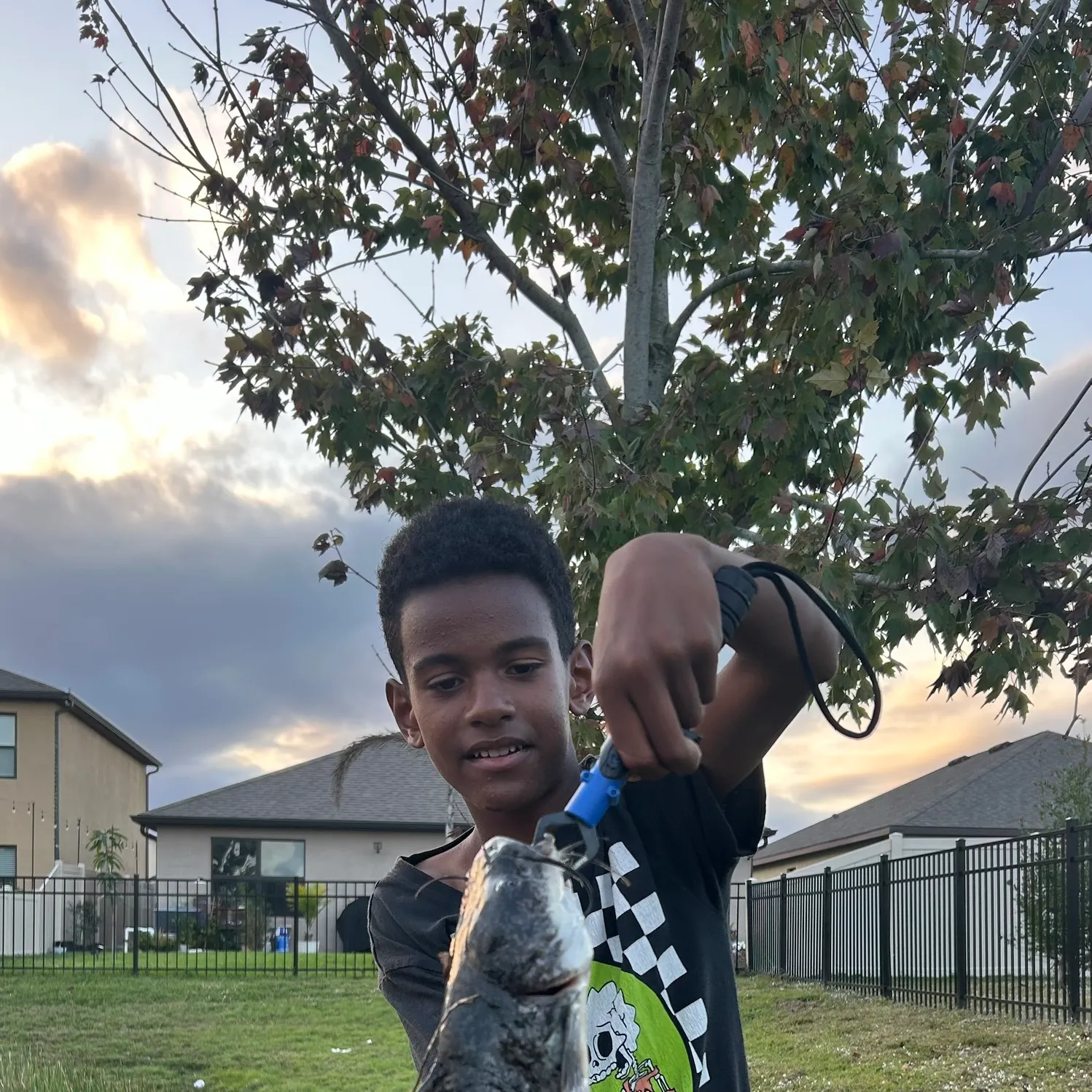 The most recent Spotted bullhead catches on Fishbrain