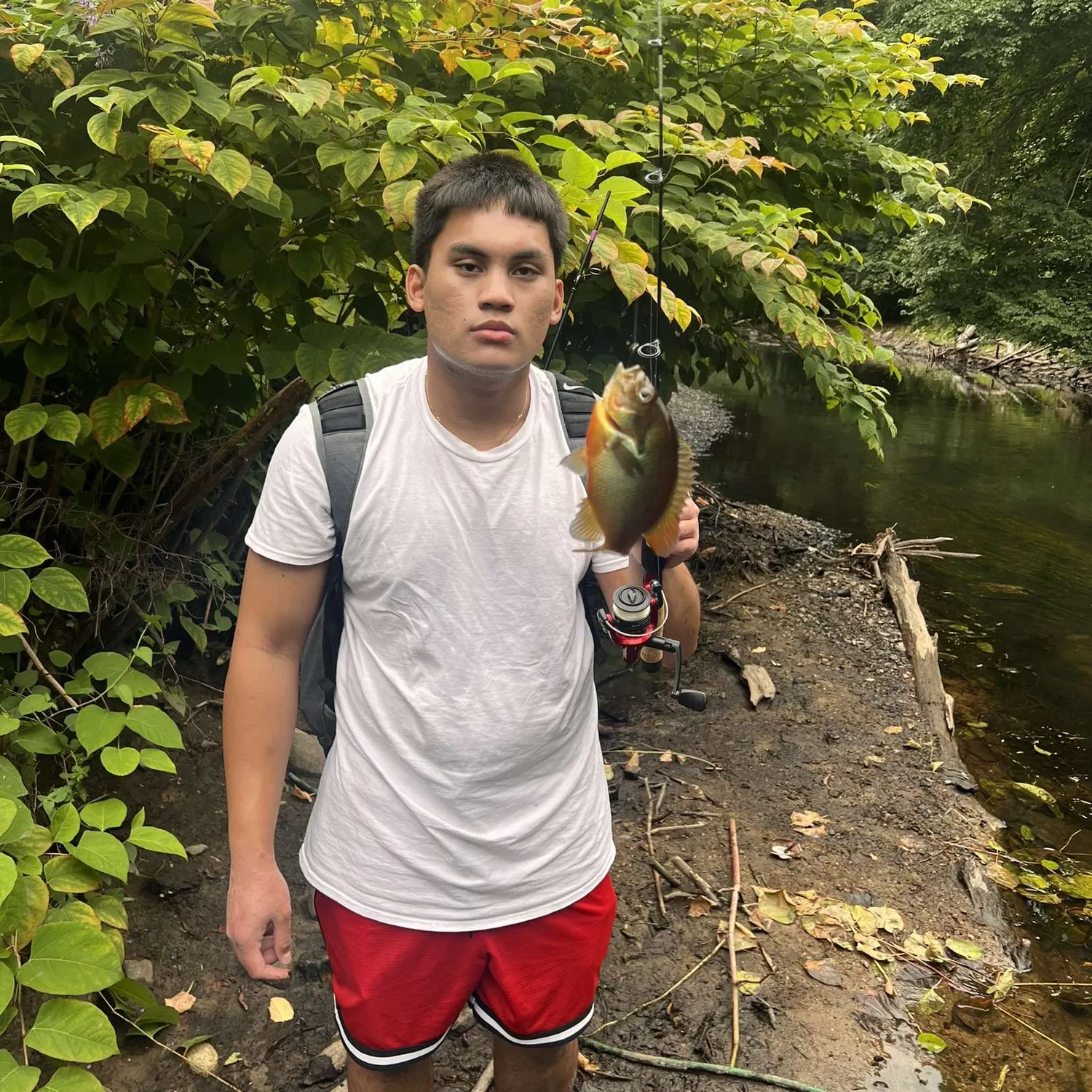 angler catch