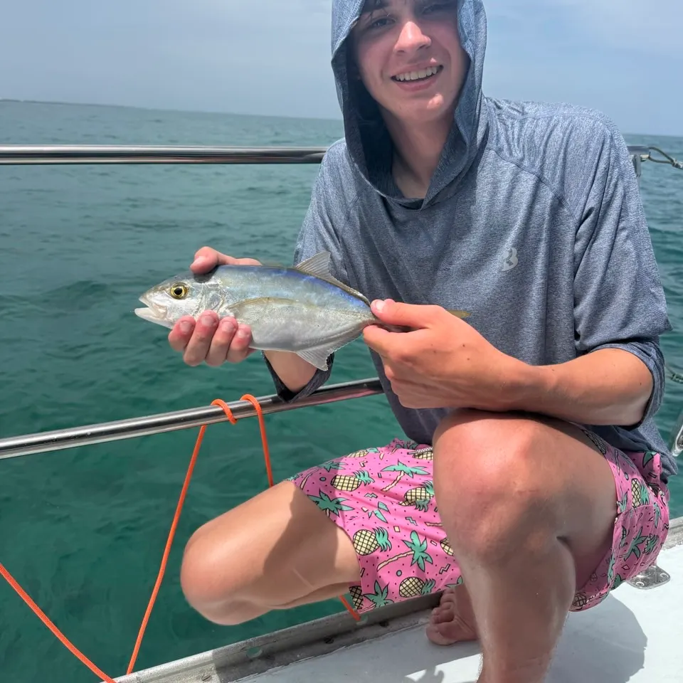 The most recent Bar jack catches on Fishbrain