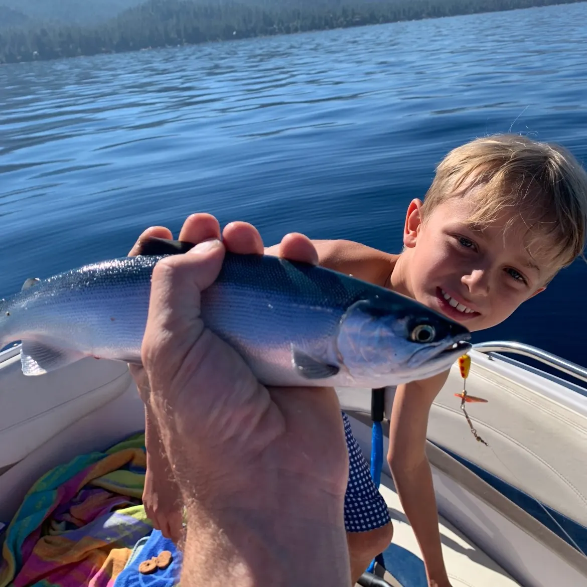Kokanee salmon caught on Fishbrain