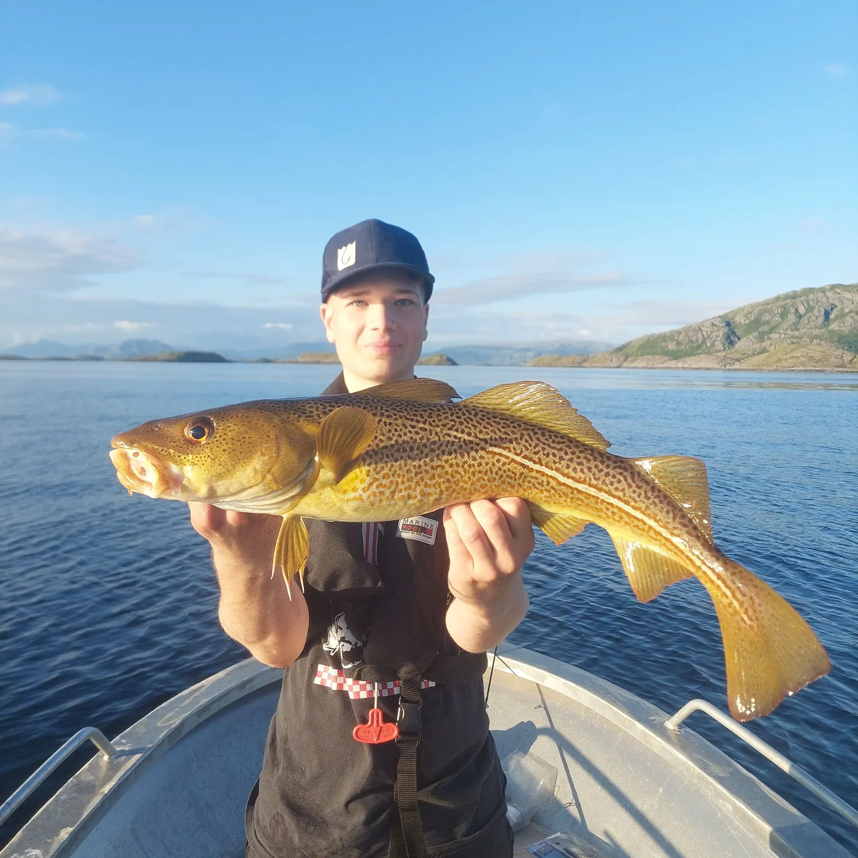 The most recent Atlantic cod catches on Fishbrain