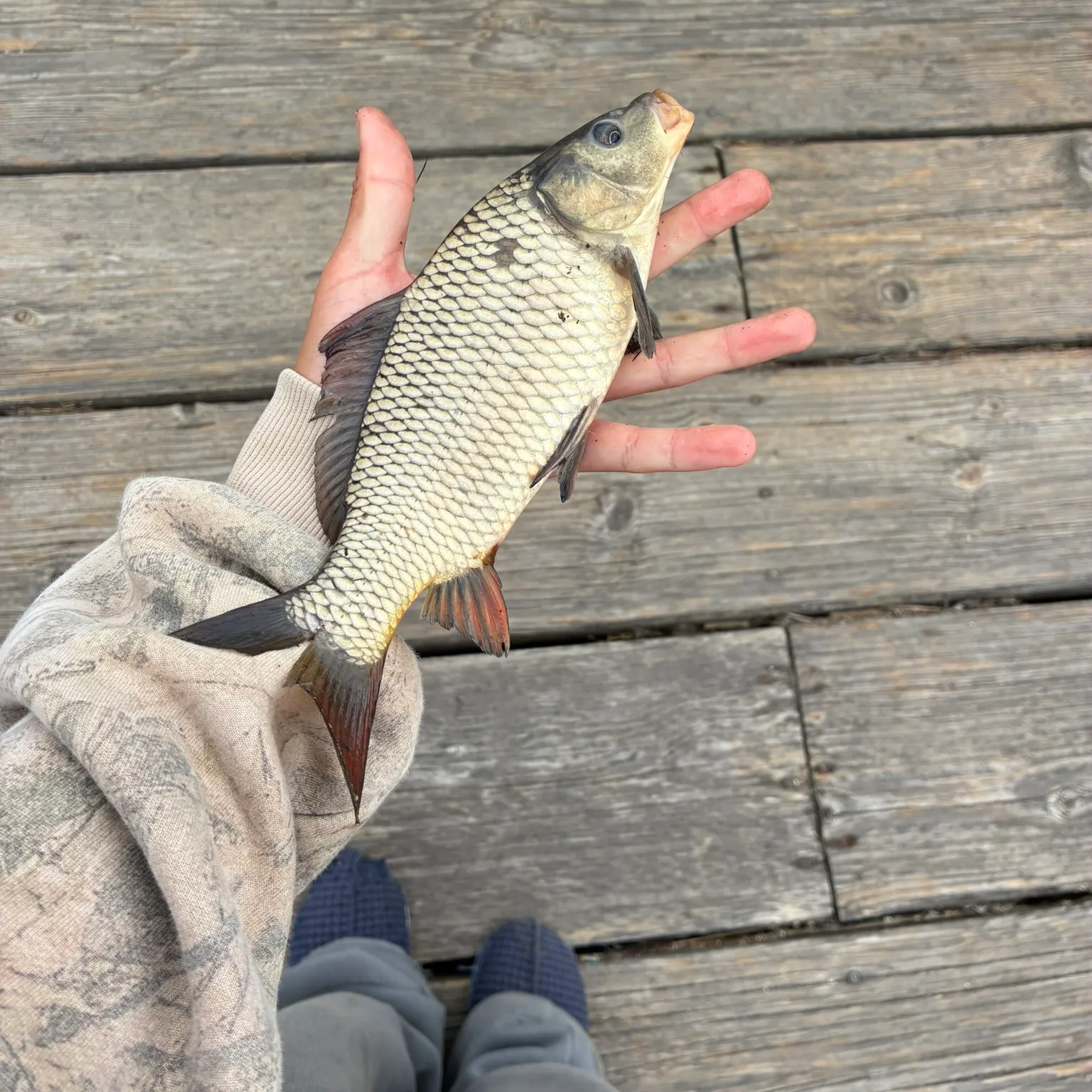 catch