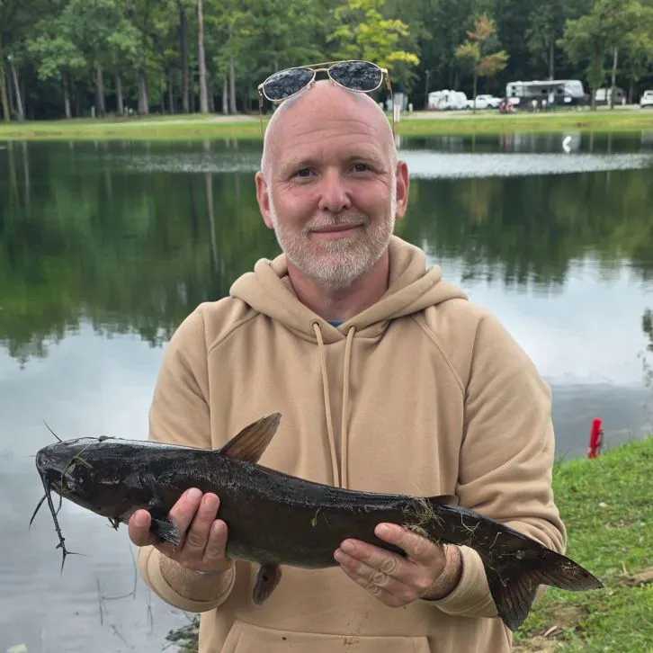 Channel catfish caught on Fishbrain