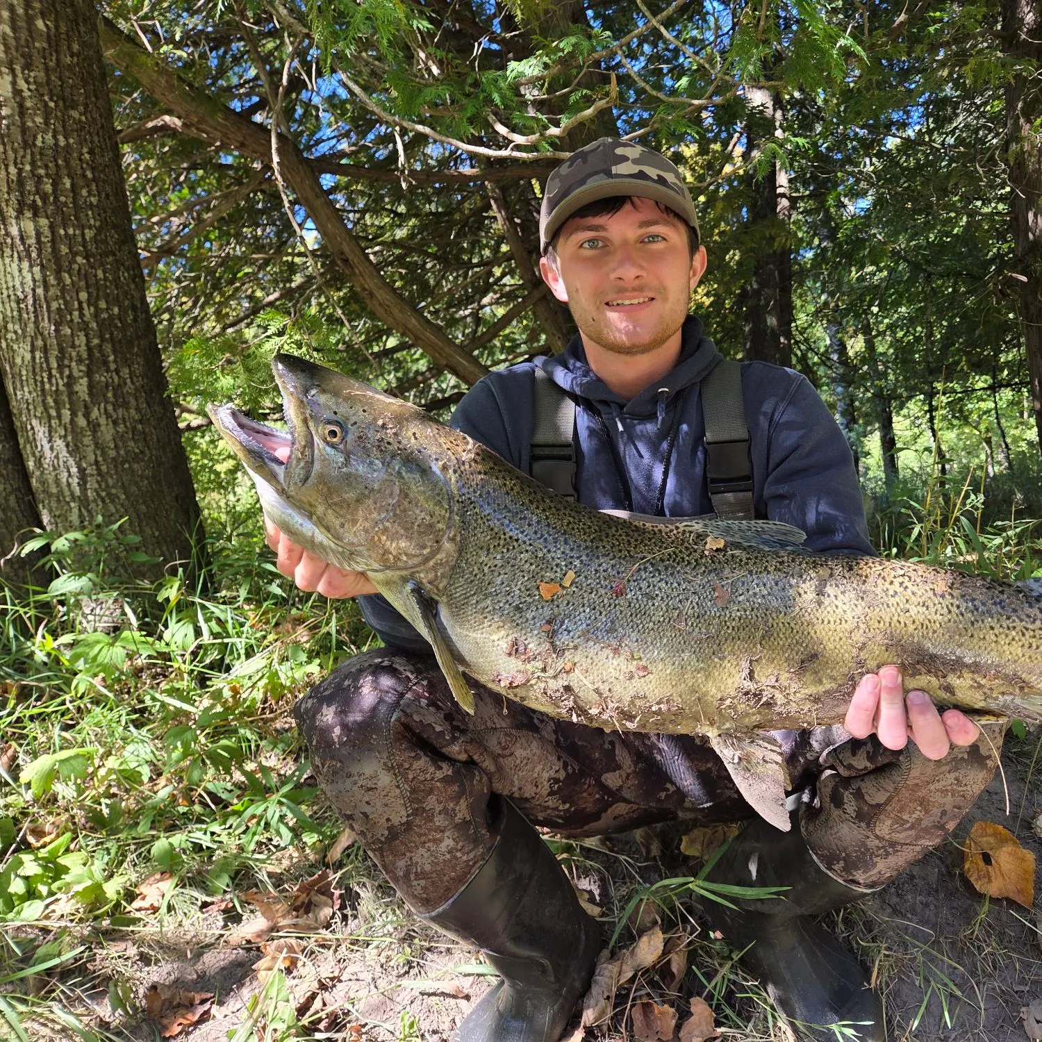 Chinook salmon caught on Fishbrain